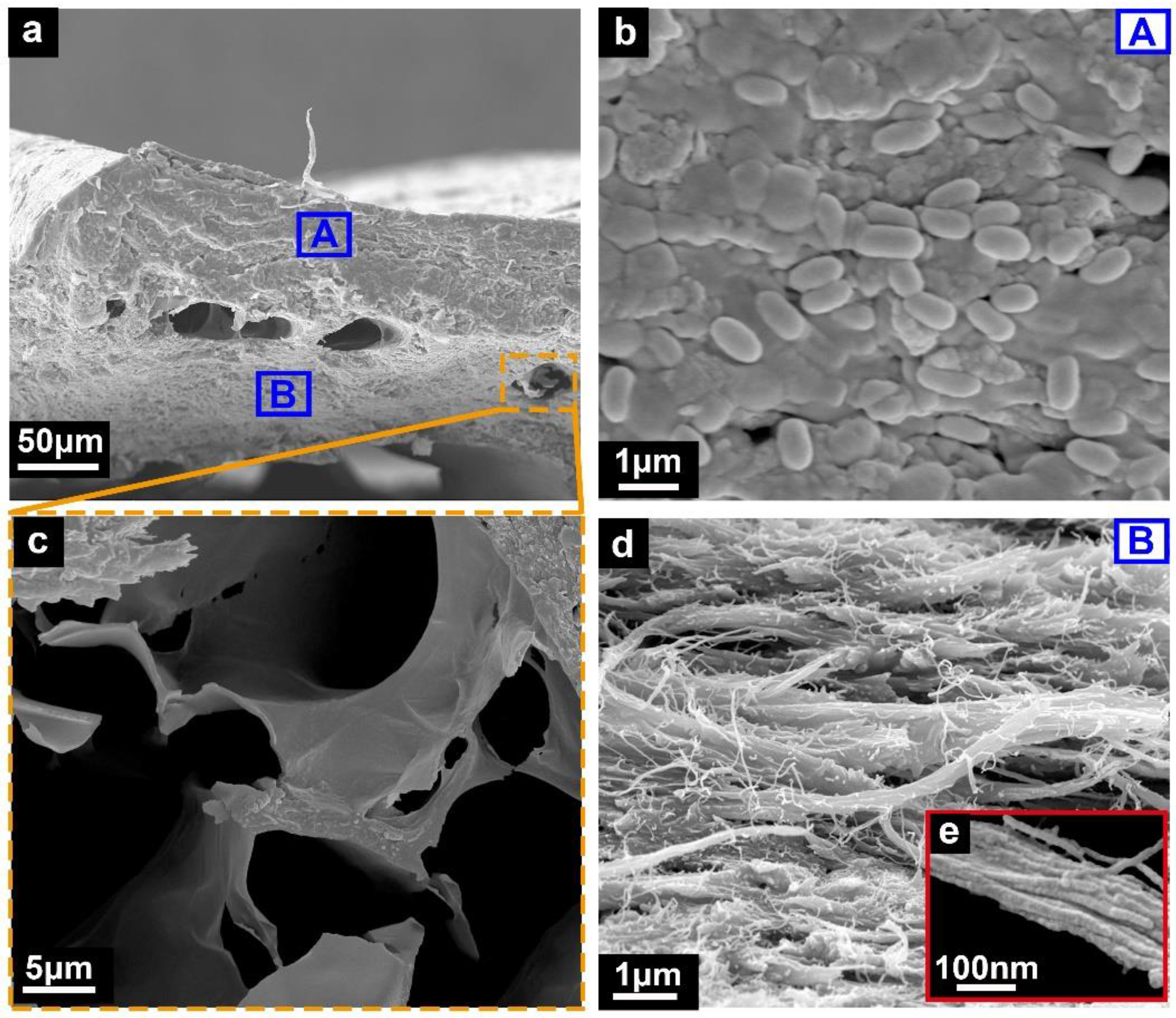 Micromachines 14 00256 g004