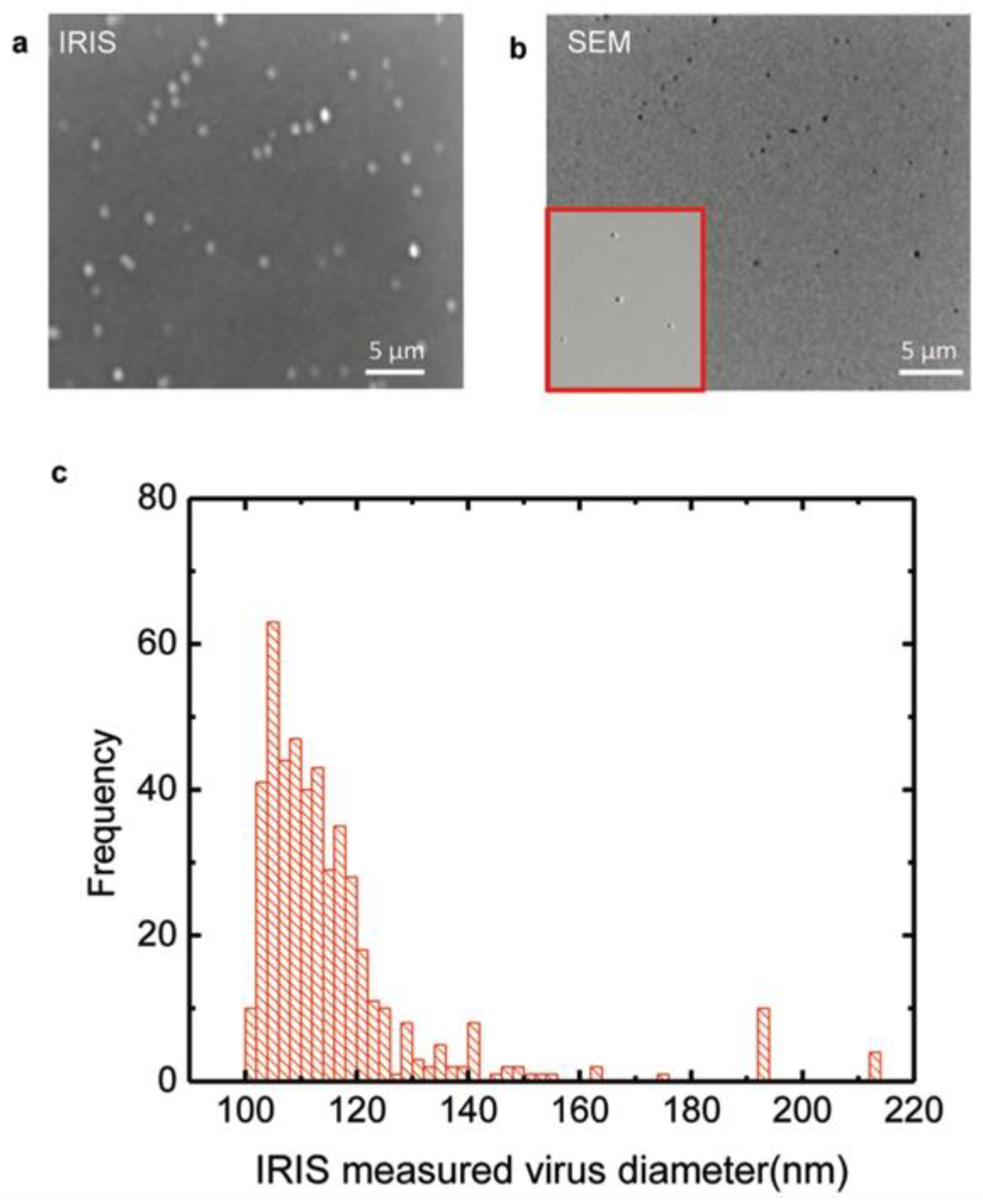 Micromachines 14 00281 g001