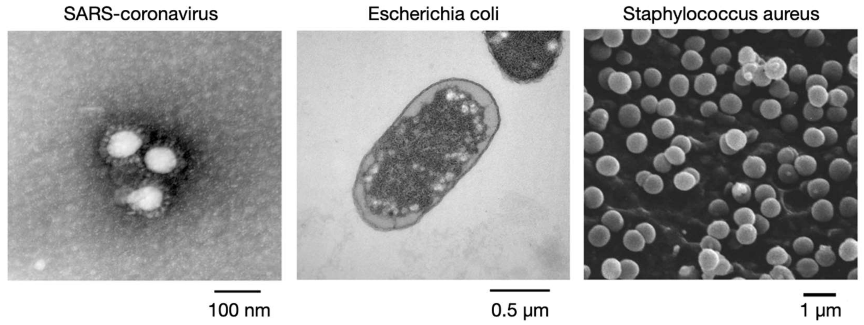 Micromachines 14 00282 g002