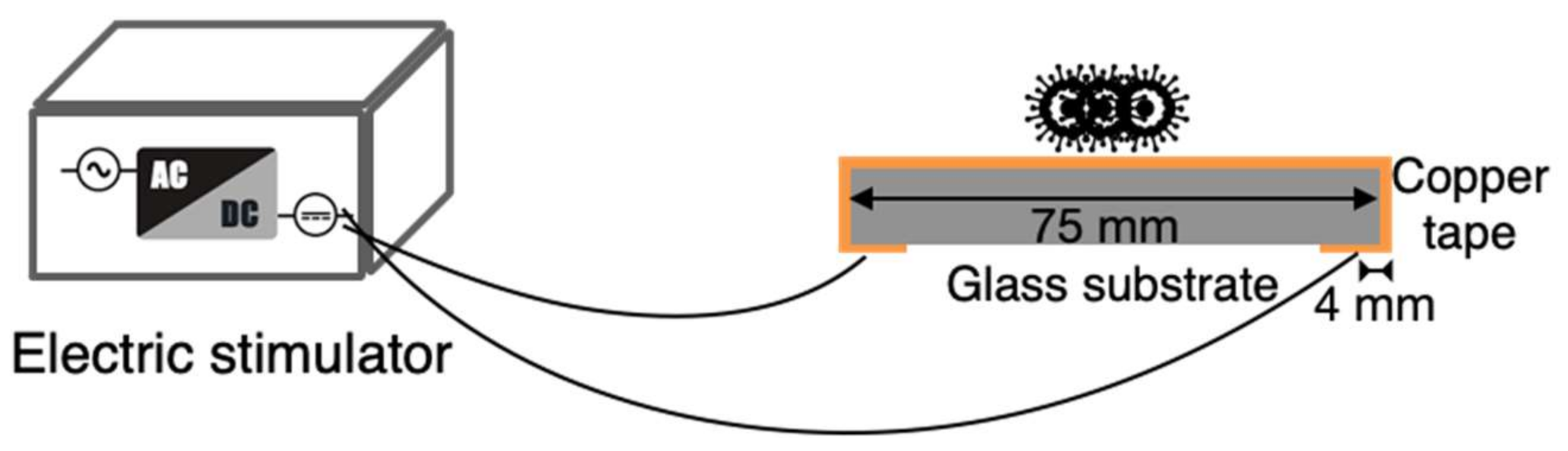 Micromachines 14 00282 g003