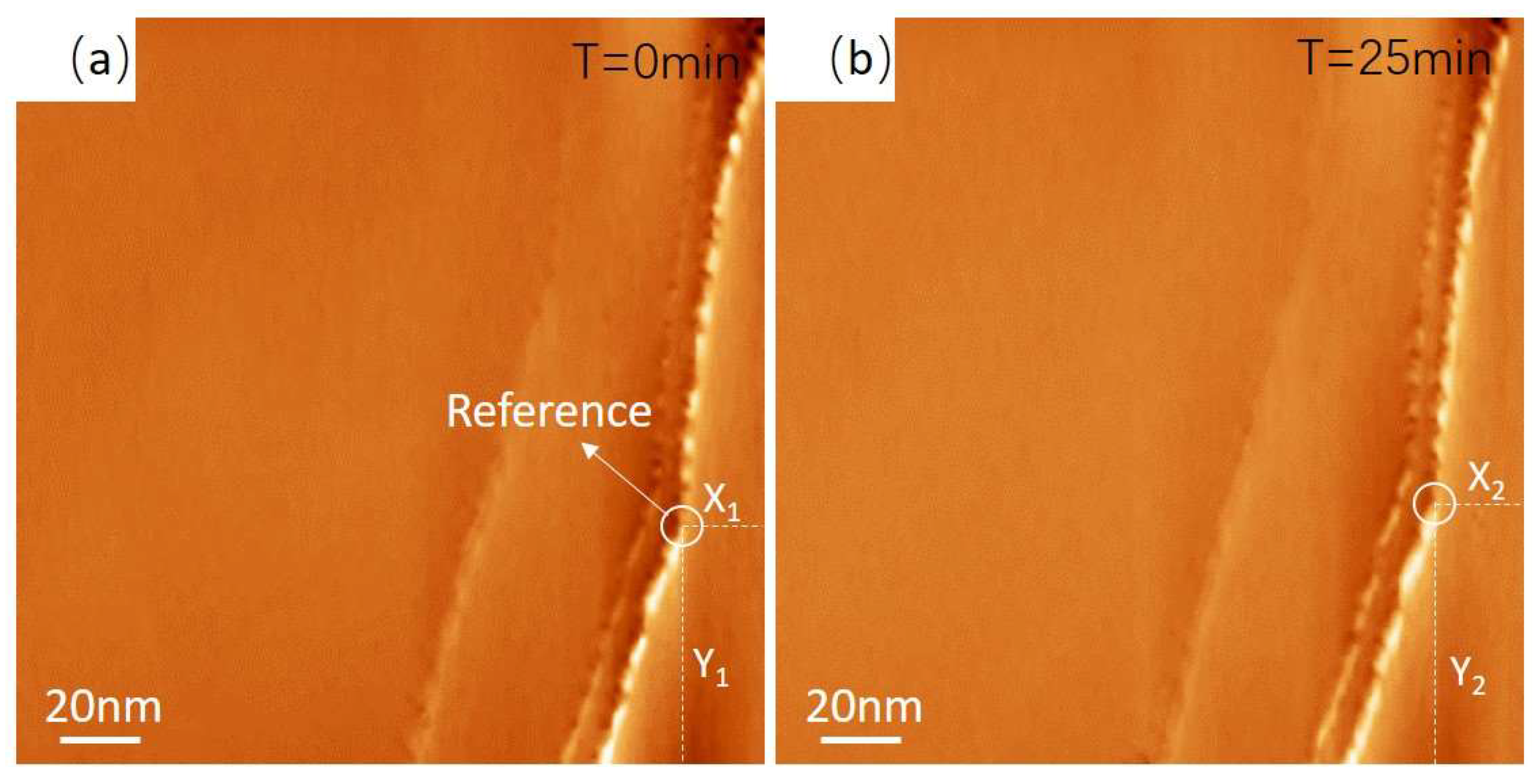 Micromachines 14 00287 g003