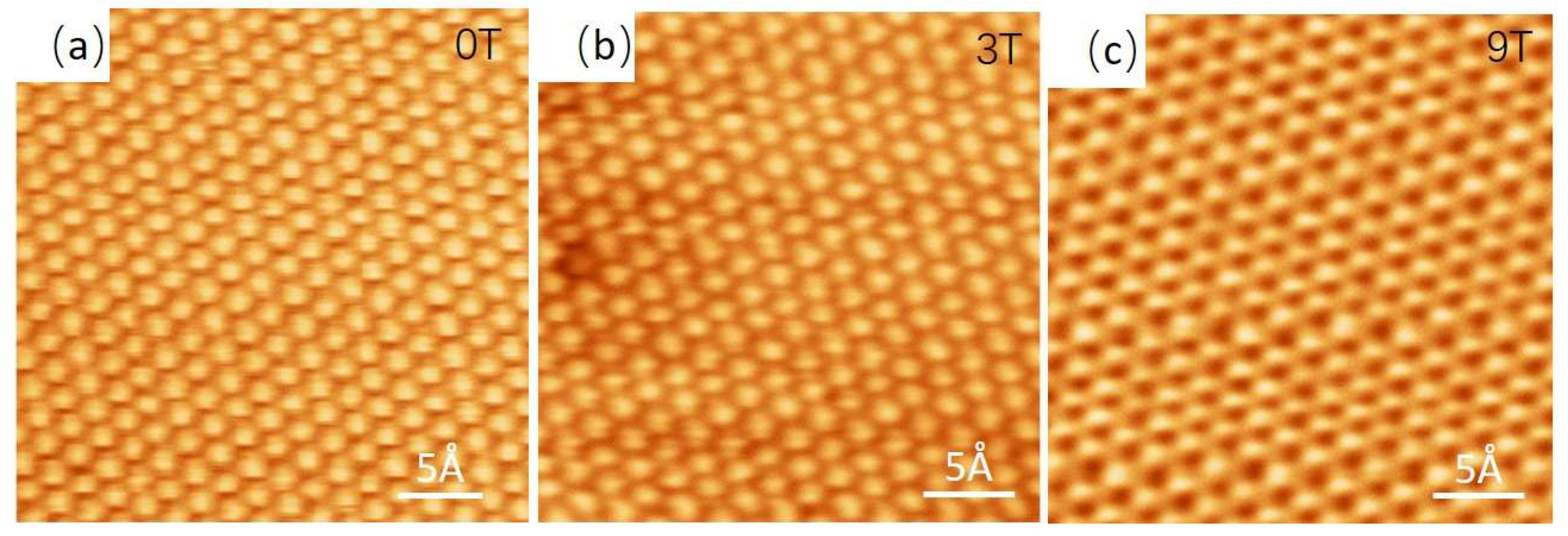 Micromachines 14 00287 g006