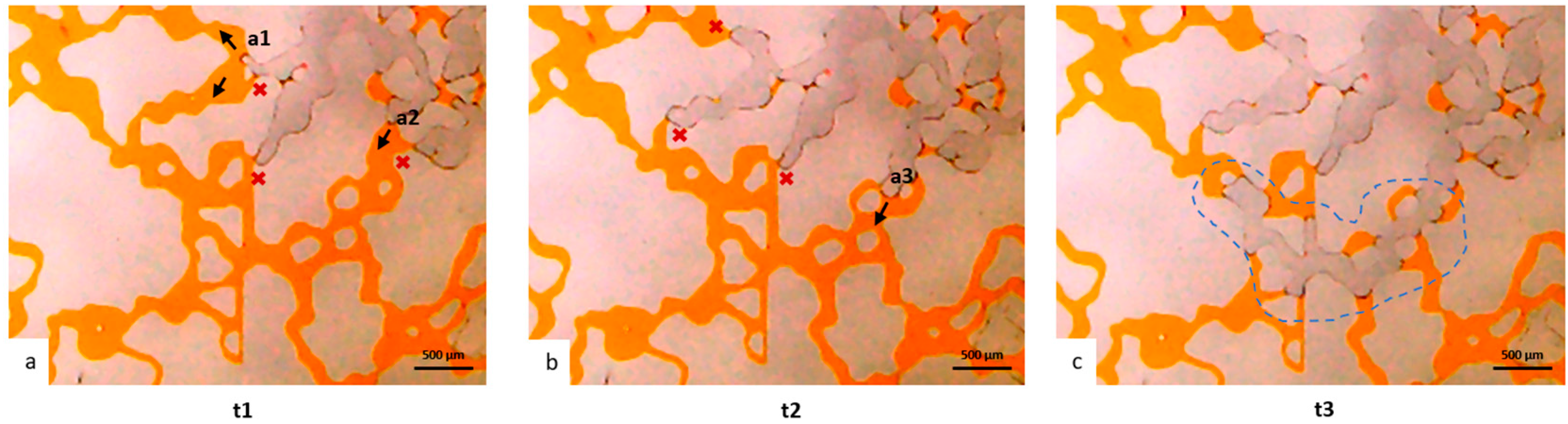 Micromachines 14 00308 g014