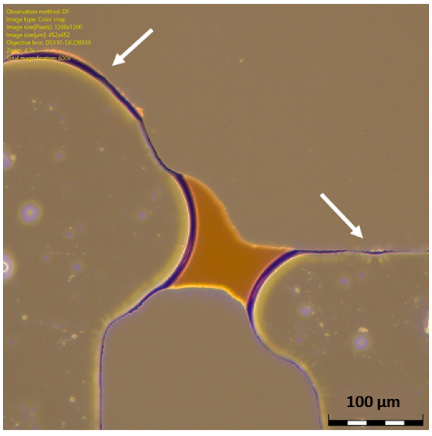 Micromachines 14 00308 g015
