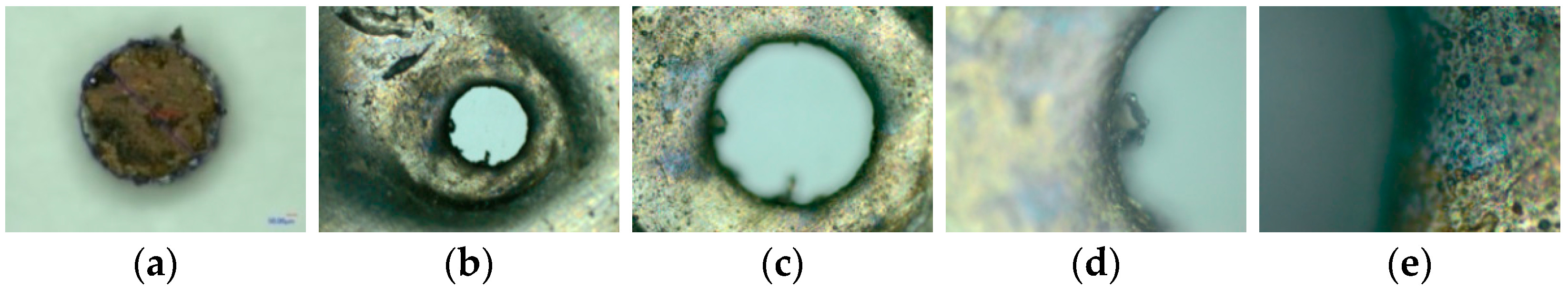 Micromachines 14 00312 g014