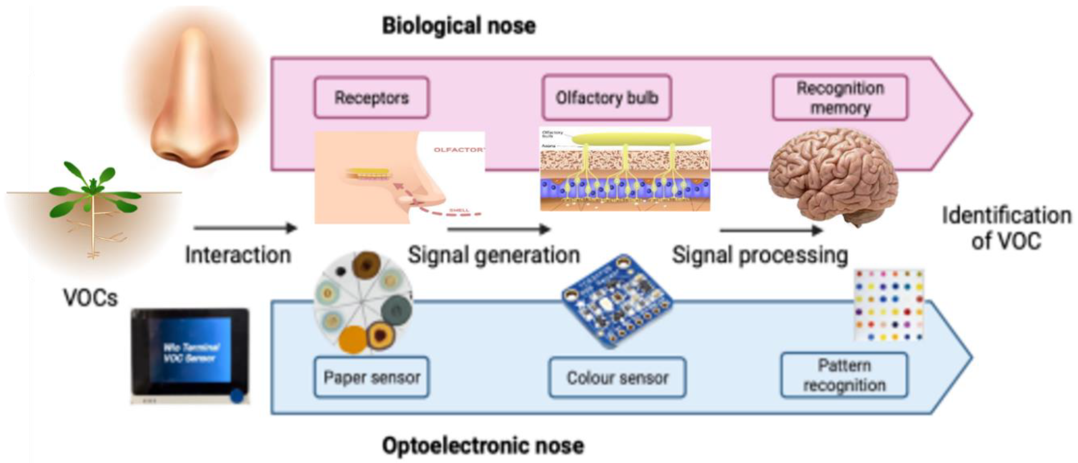 Micromachines 14 00314 g001