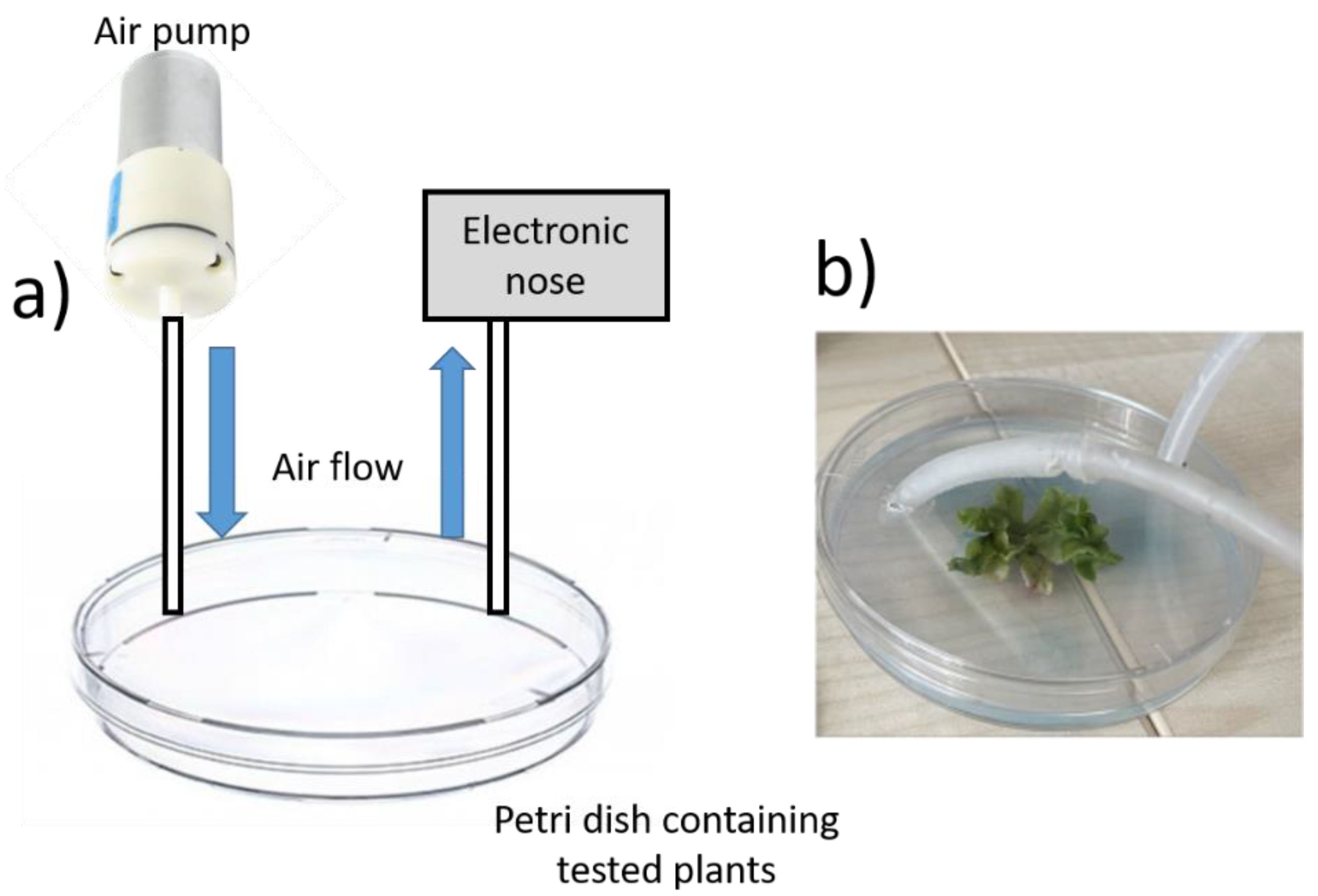 Micromachines 14 00314 g003