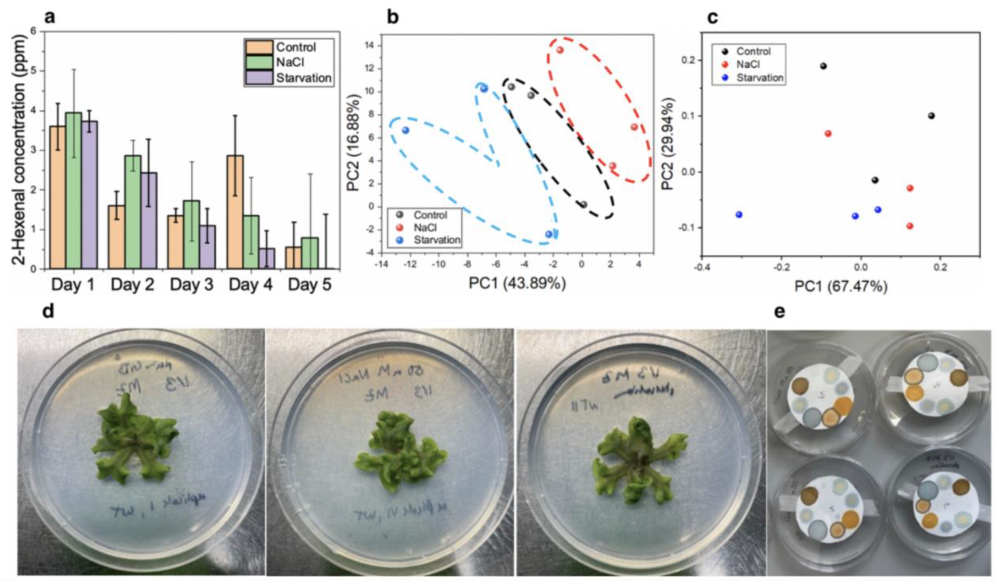 Micromachines 14 00314 g010