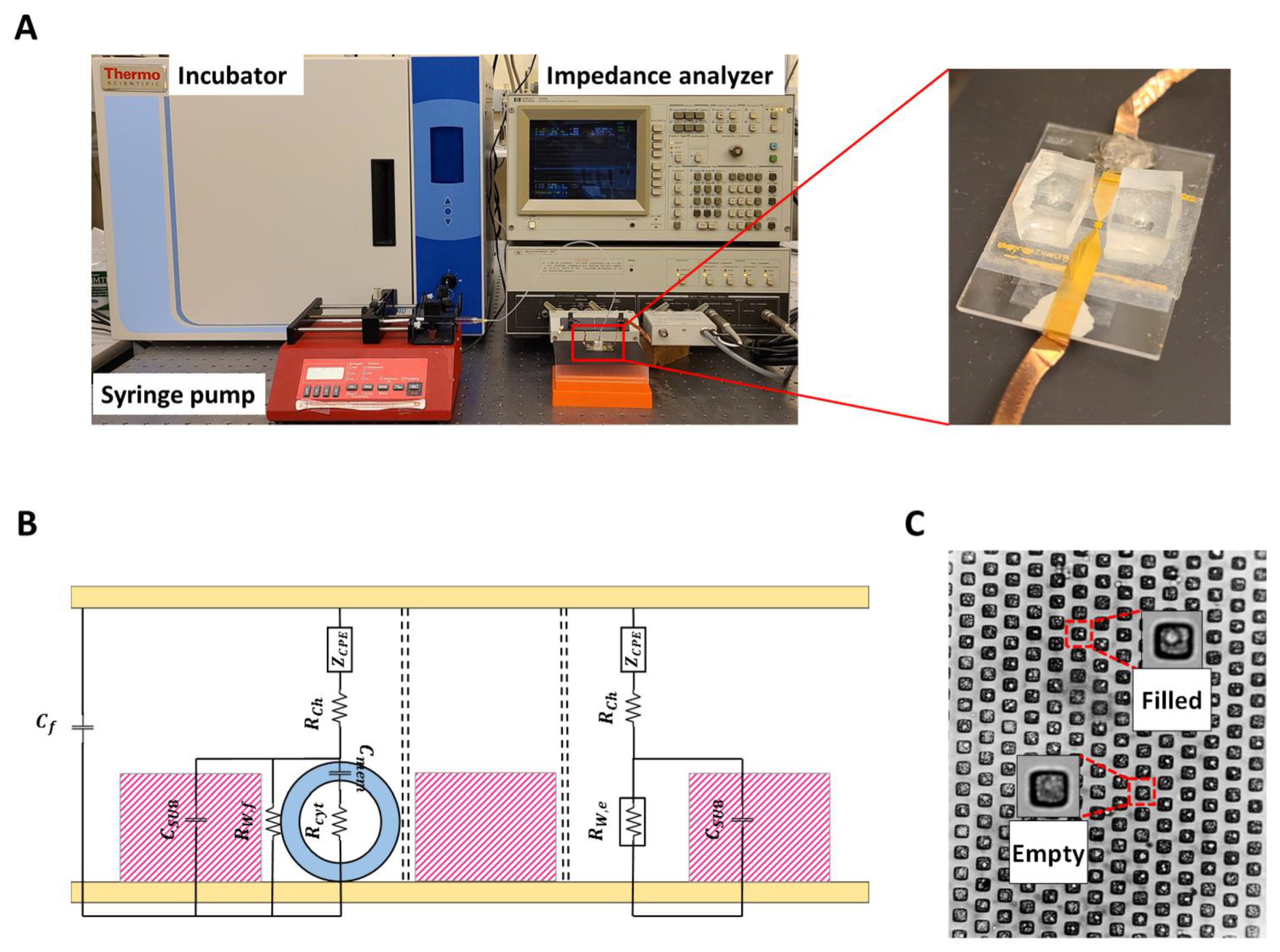 Micromachines 14 00316 g001