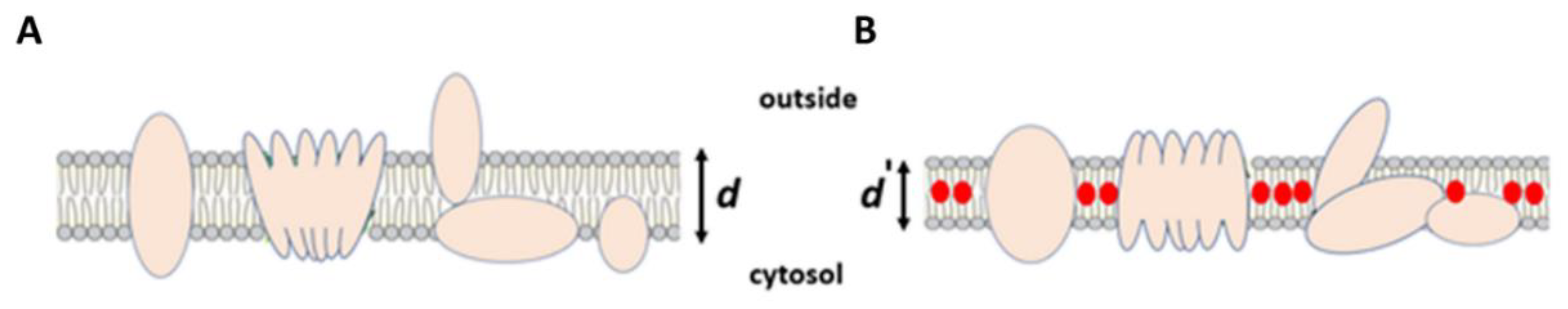 Micromachines 14 00316 g004