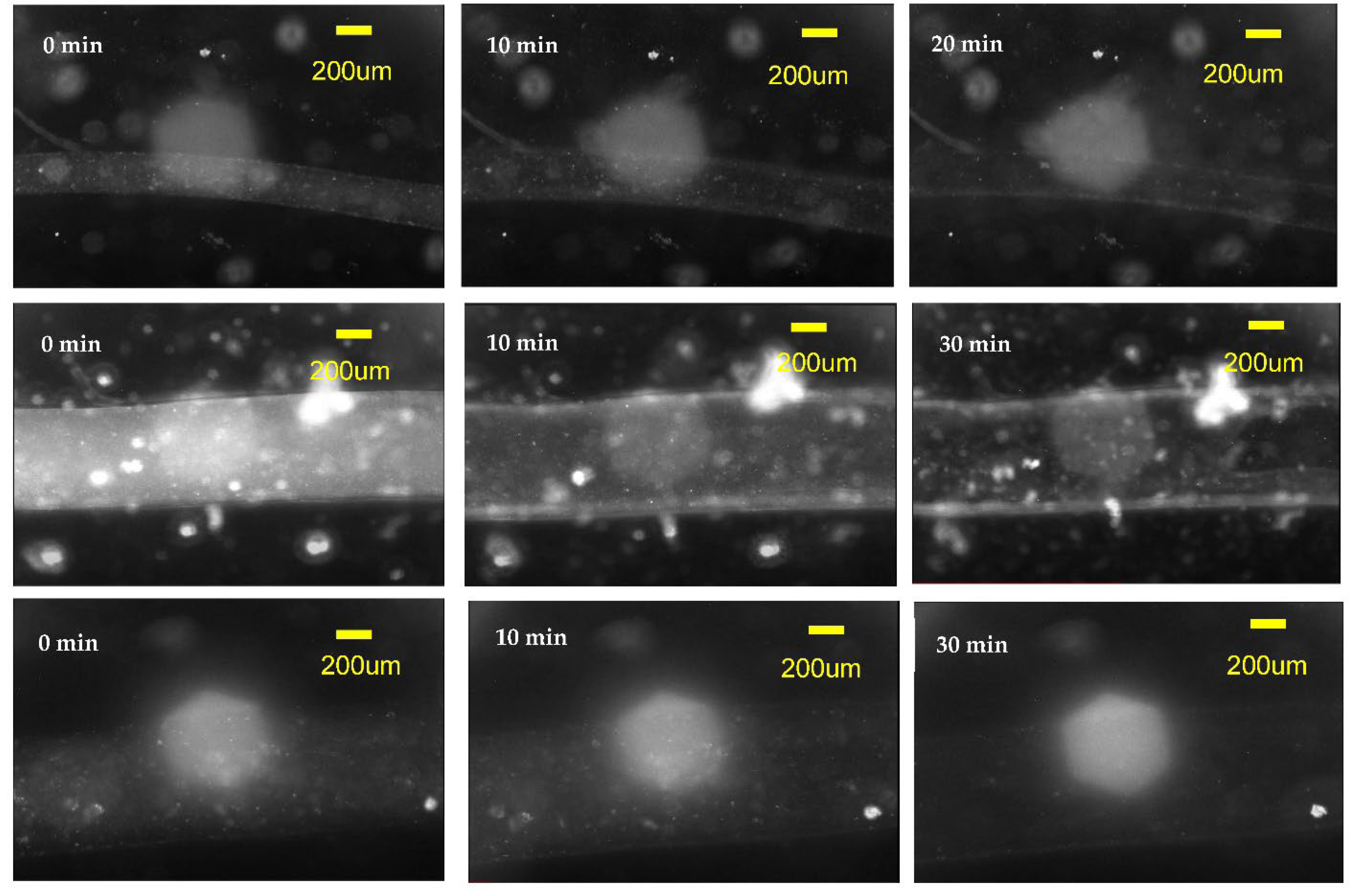 Micromachines 14 00318 g007