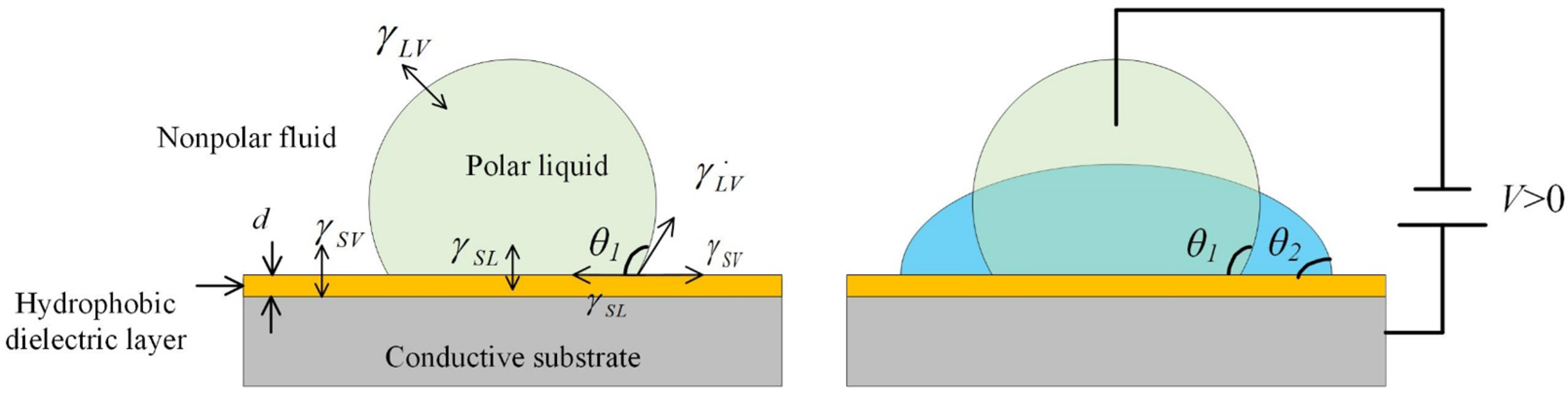 Micromachines 14 00319 g001