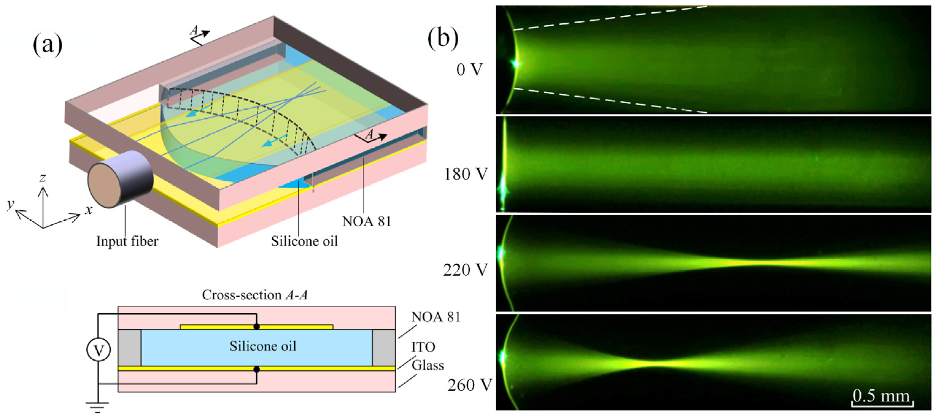 Micromachines 14 00319 g014