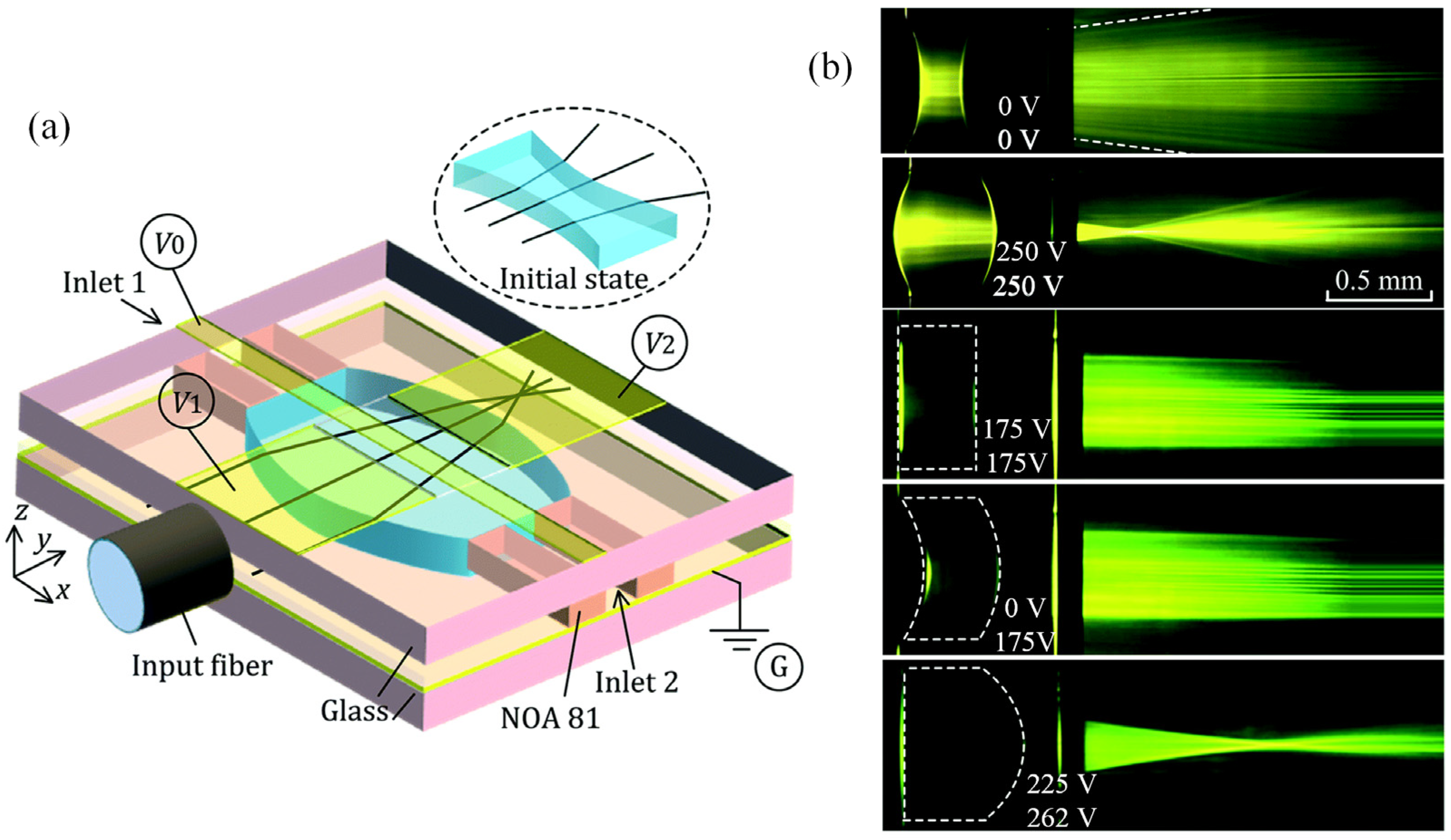 Micromachines 14 00319 g015