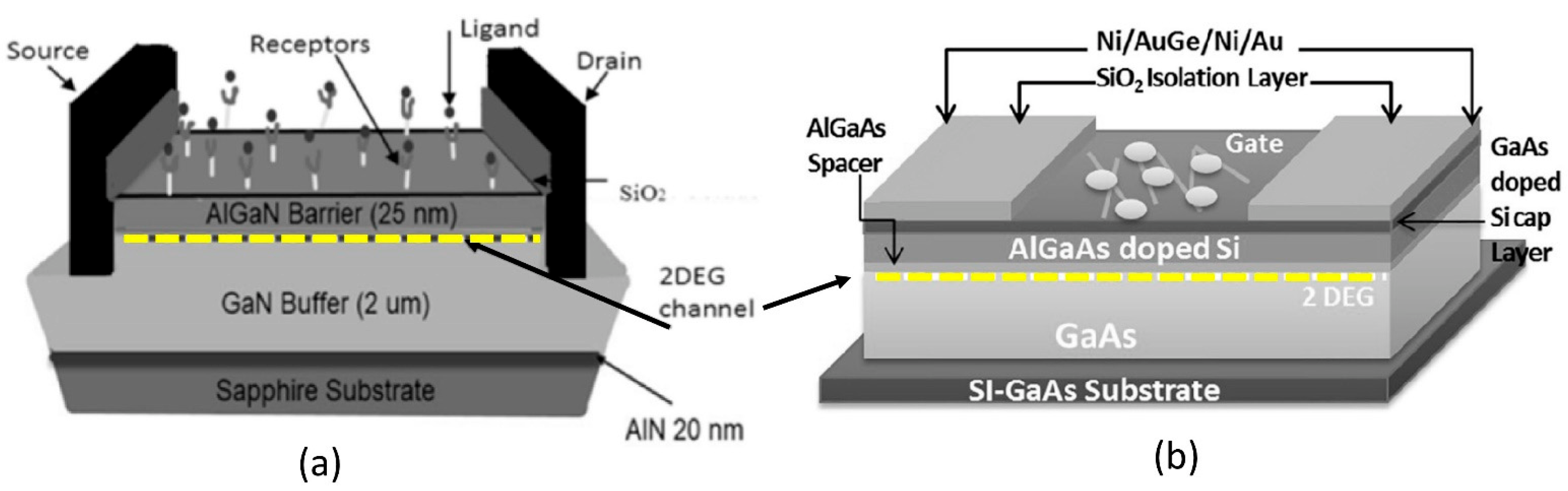 Micromachines Free Full-Text Status and Prospects of  Heterojunction-Based HEMT for Next-Generation Biosensors