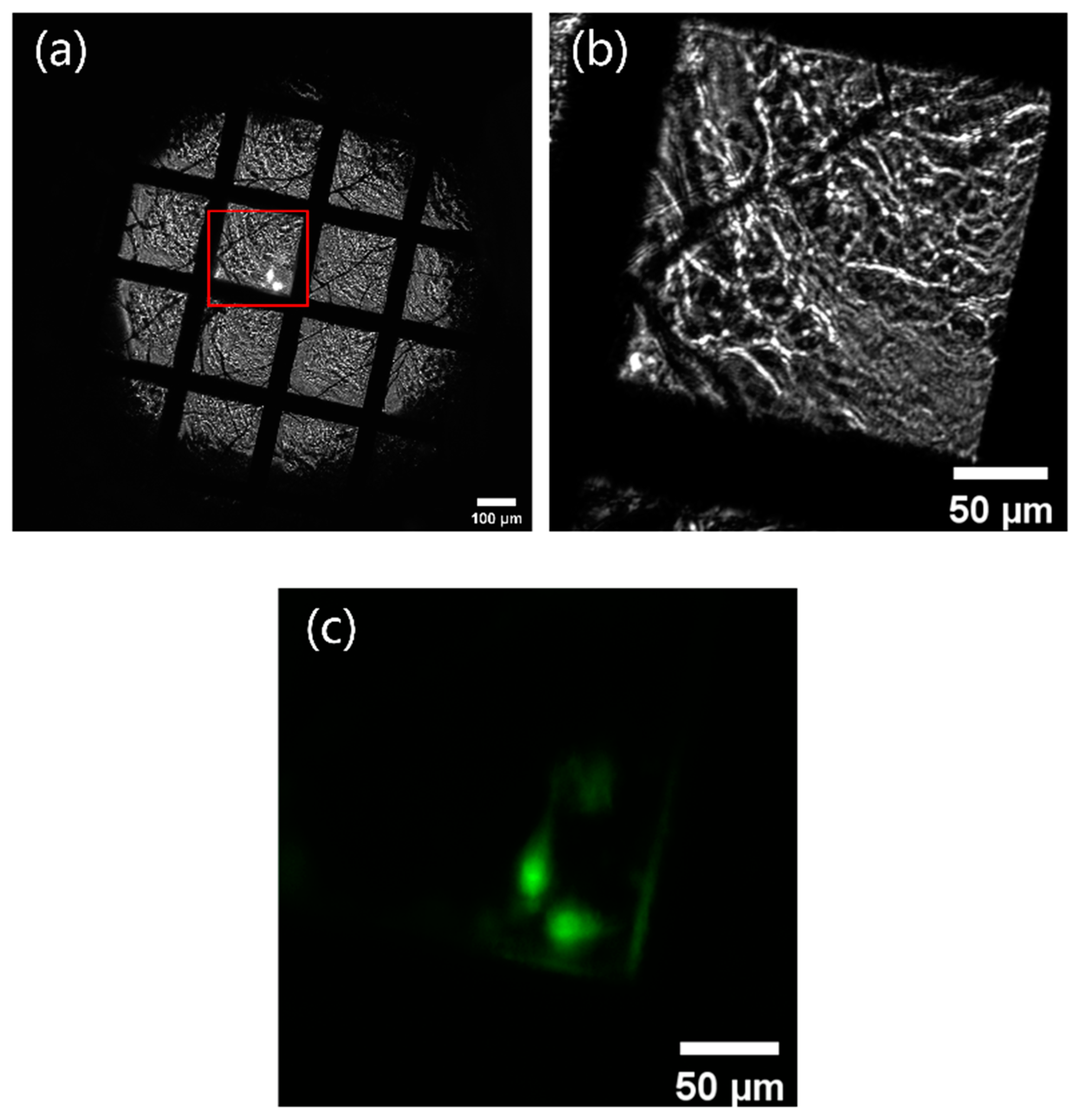 Micromachines 14 00326 g003 Micromachines 14 00326 g003