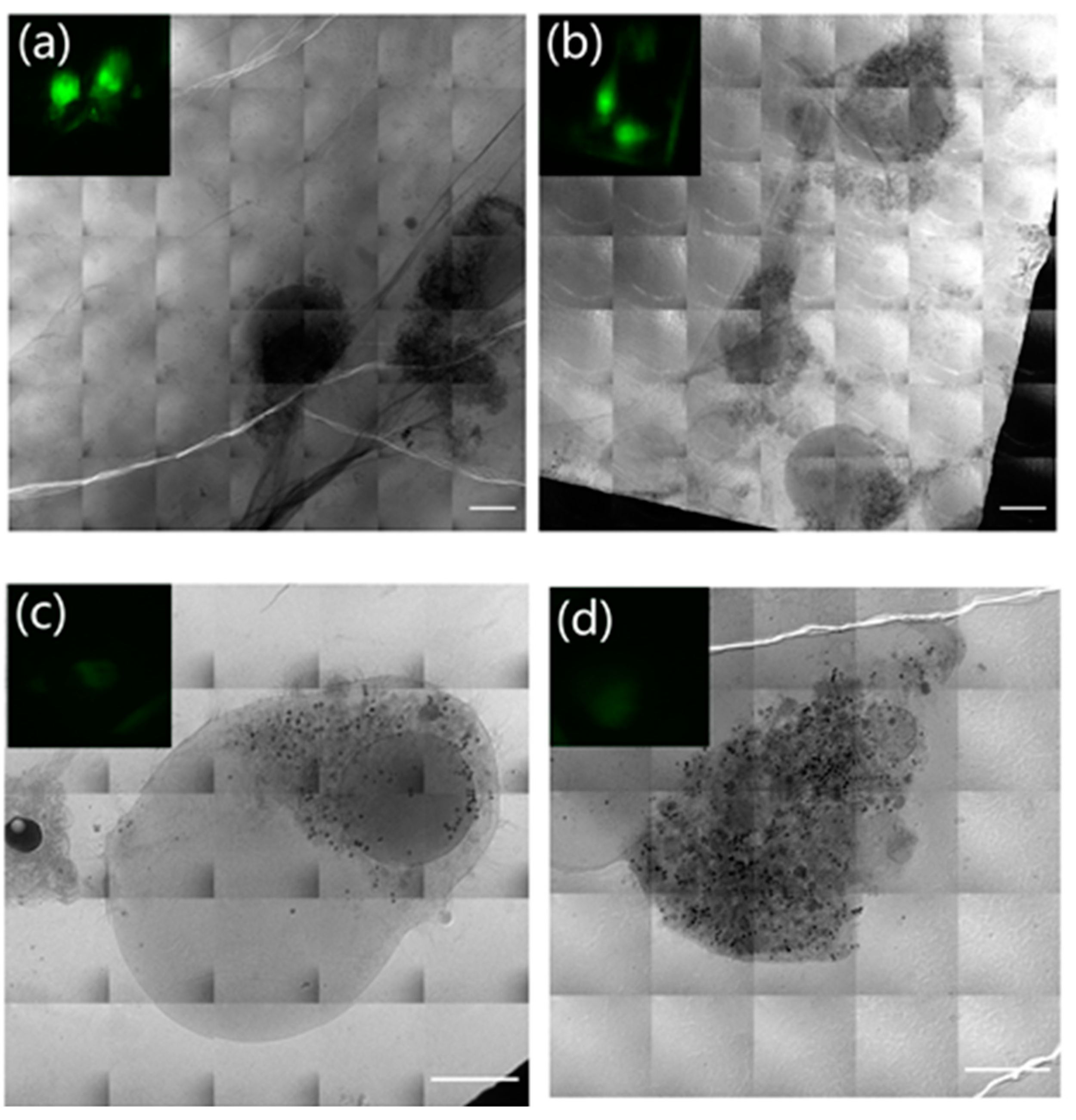 Micromachines 14 00326 g004a Micromachines 14 00326 g004a