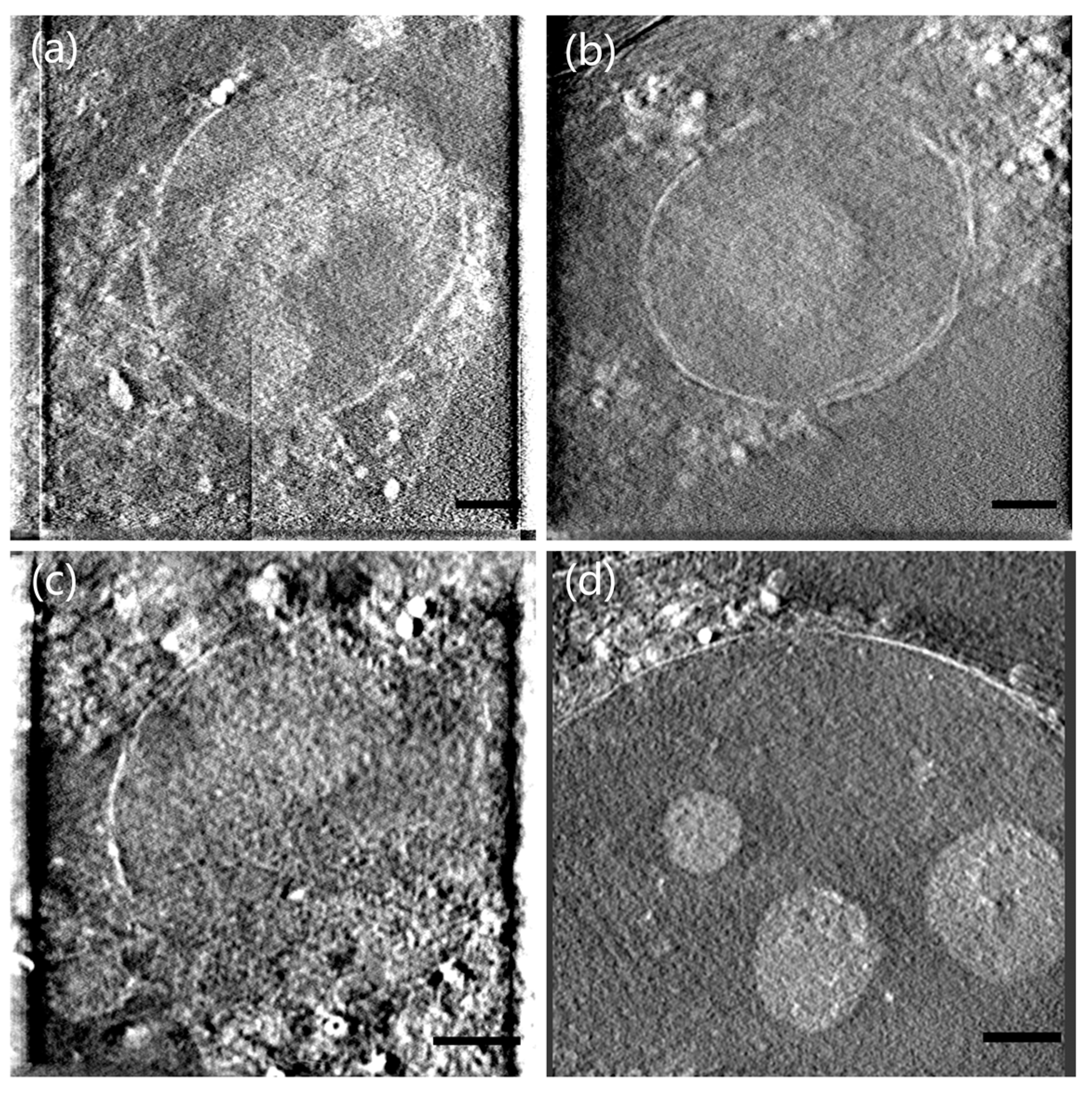Micromachines 14 00326 g006 Micromachines 14 00326 g006