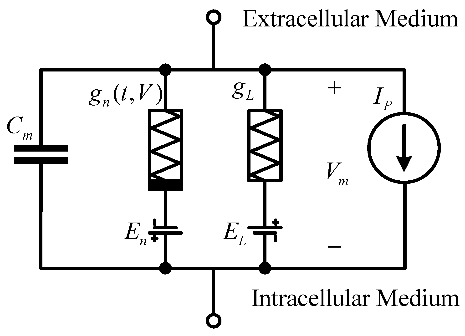 Micromachines 14 00337 g001