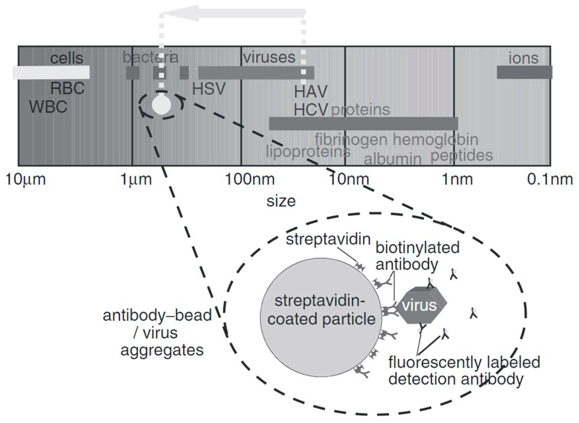 Micromachines 14 00345 g001