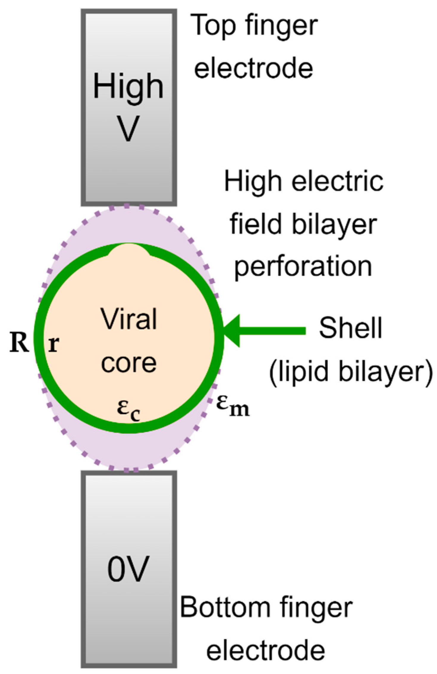 Micromachines 14 00345 g002