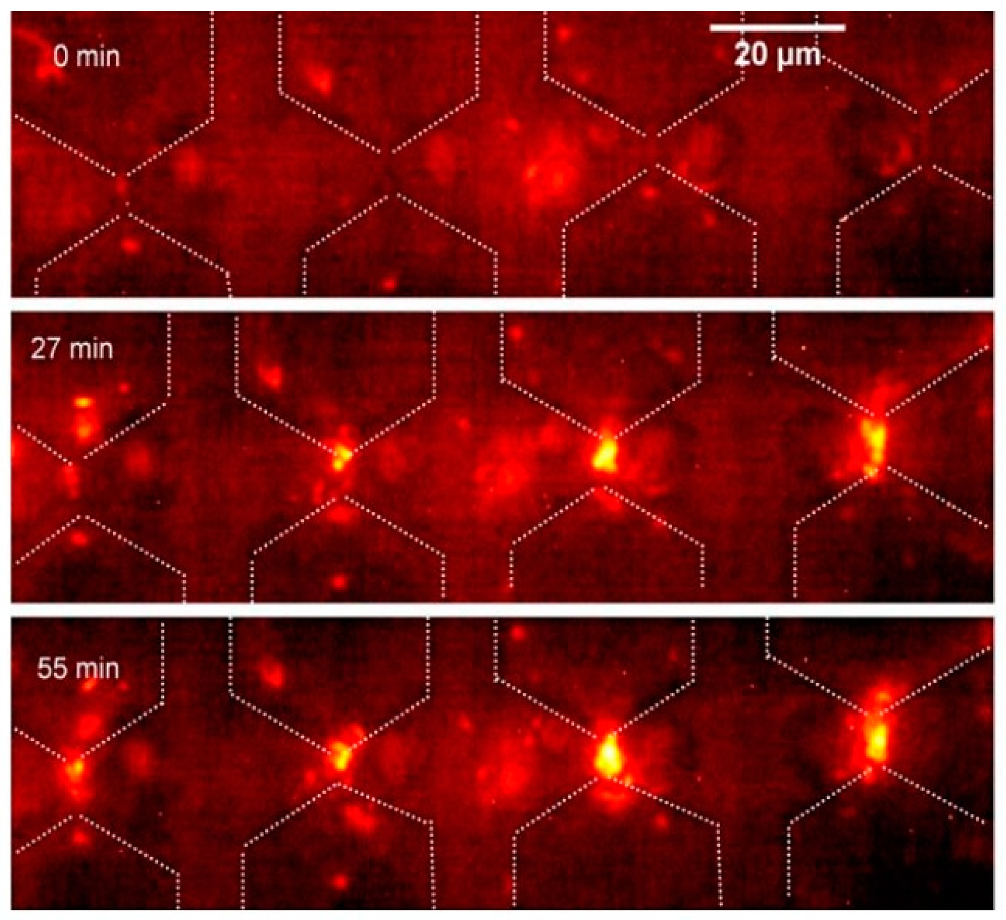 Micromachines 14 00345 g007