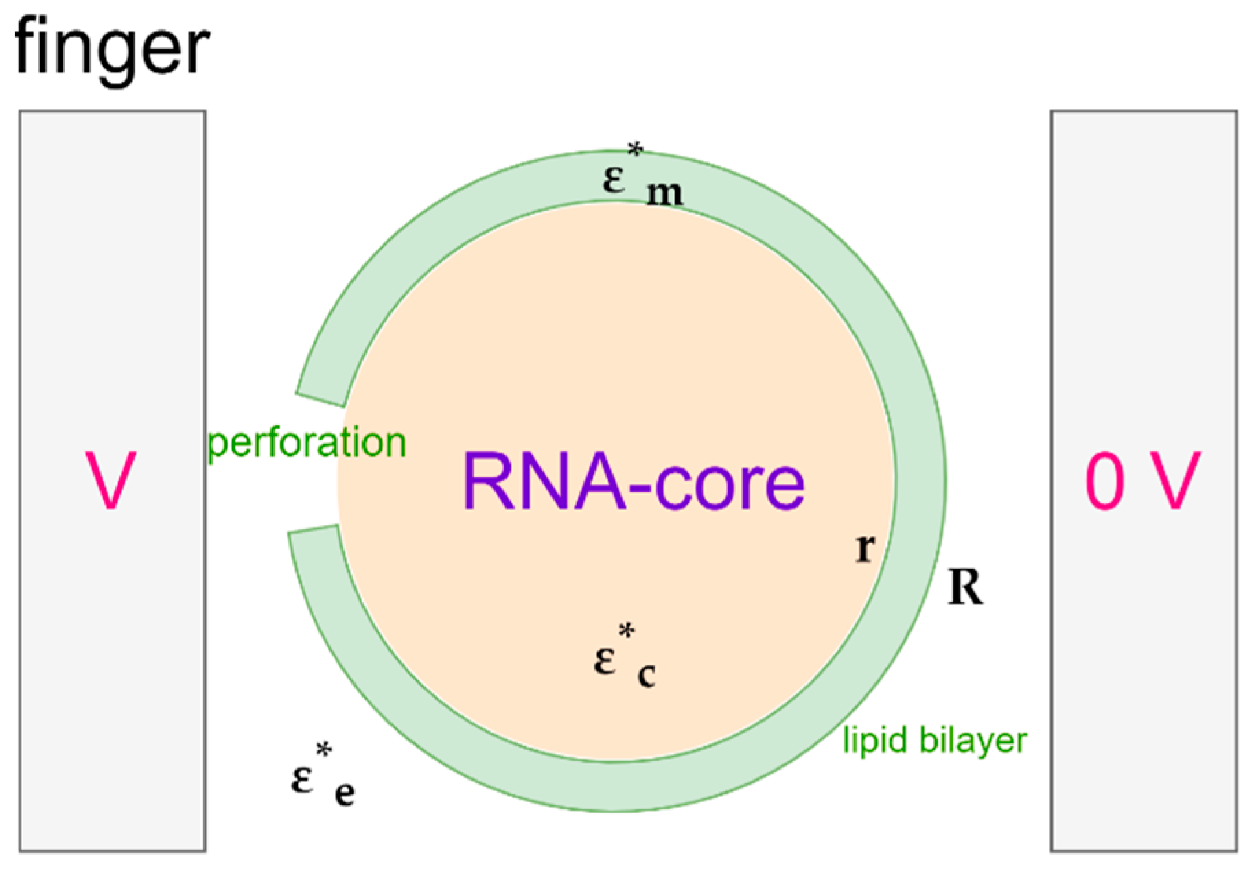Micromachines 14 00345 g008