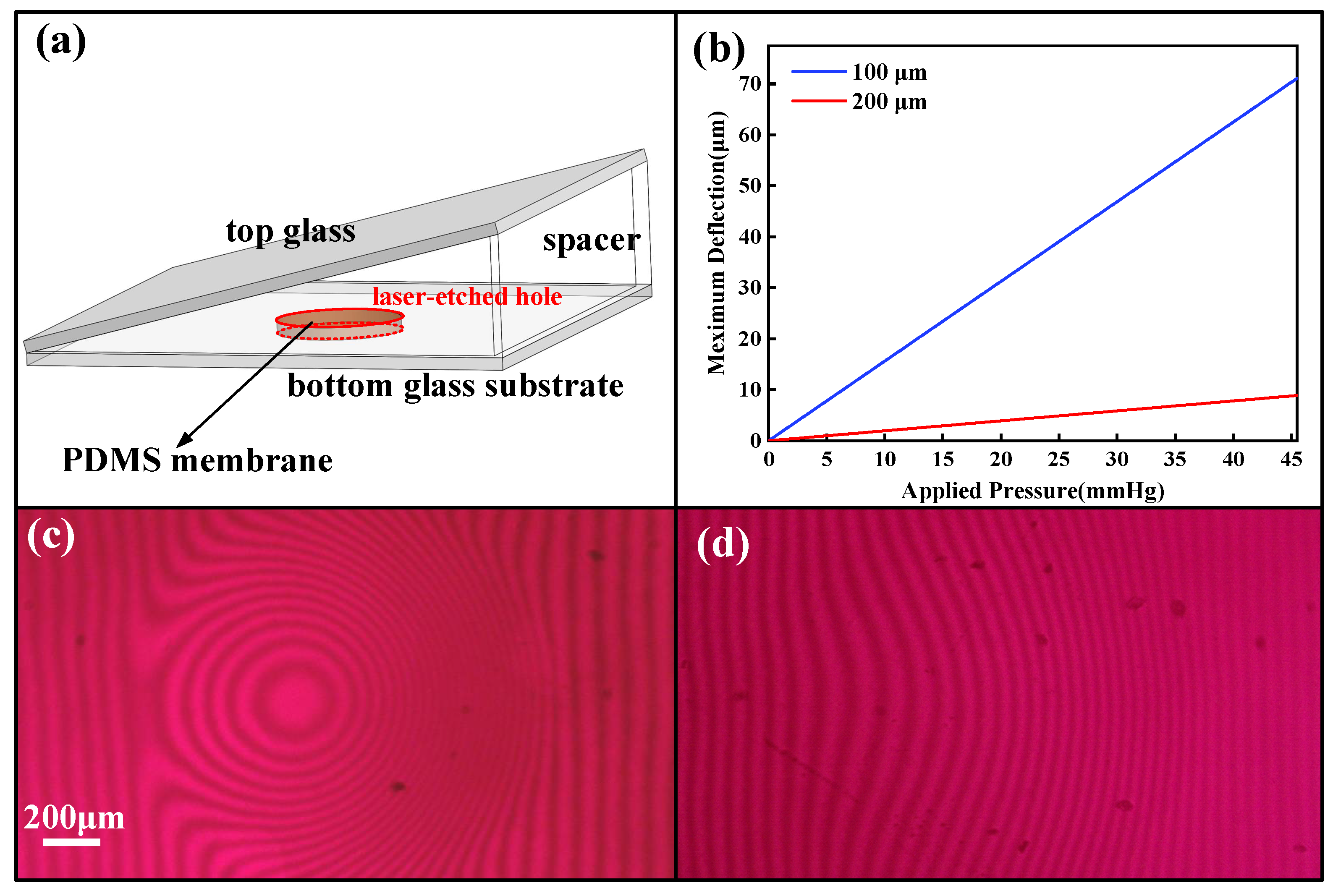Micromachines 14 00353 g003 Micromachines 14 00353 g003