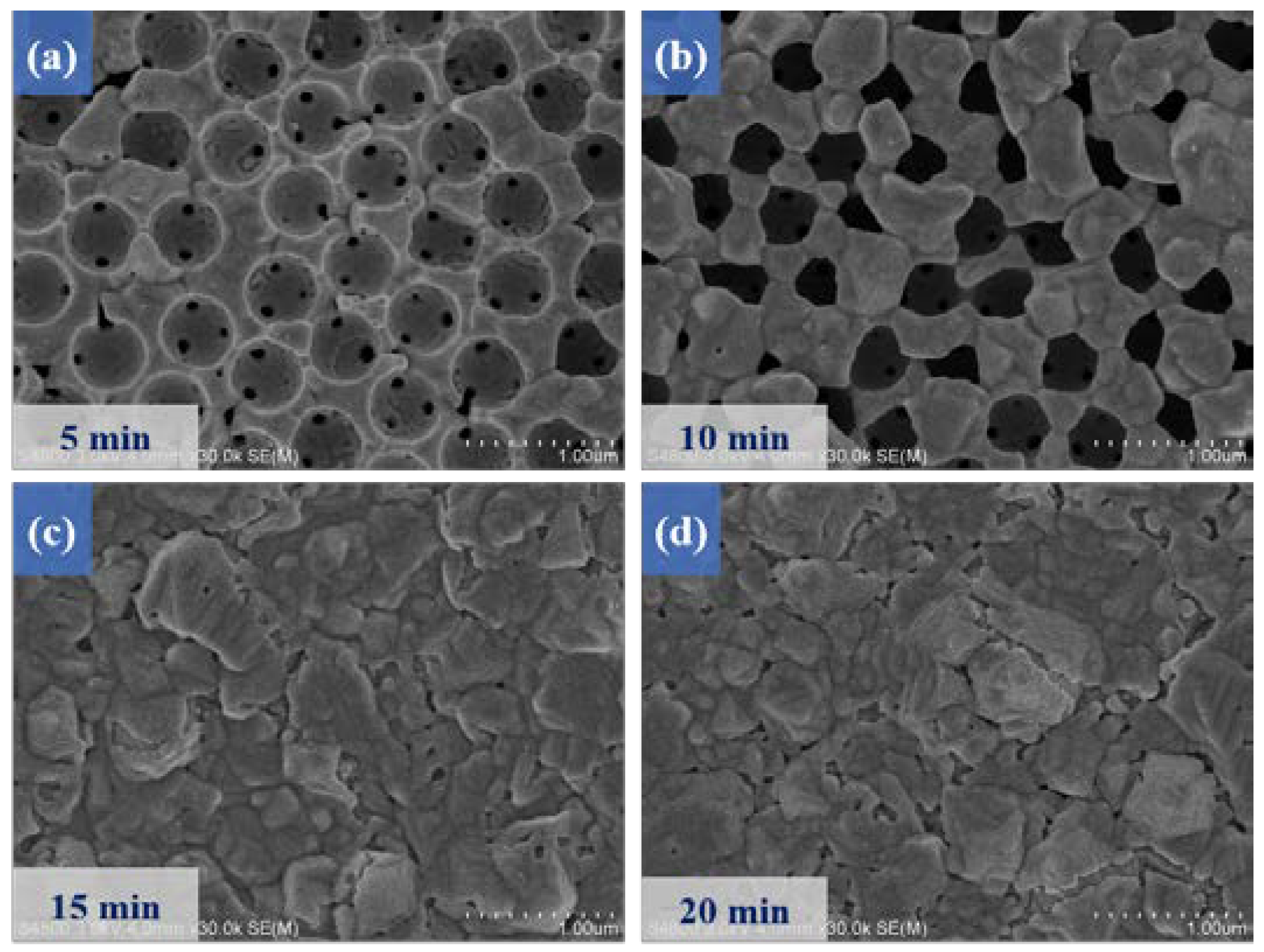 Micromachines 14 00361 g004 Micromachines 14 00361 g004