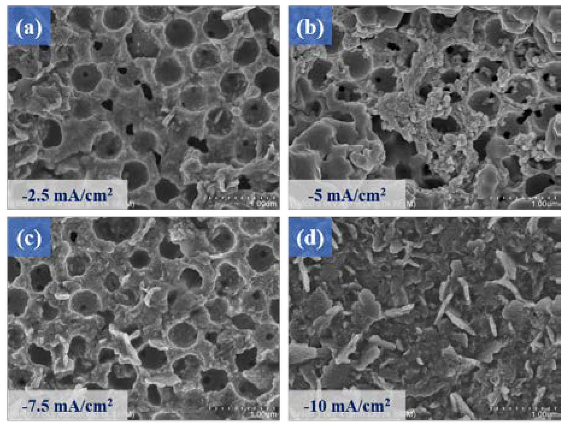 Micromachines 14 00361 g006 Micromachines 14 00361 g006