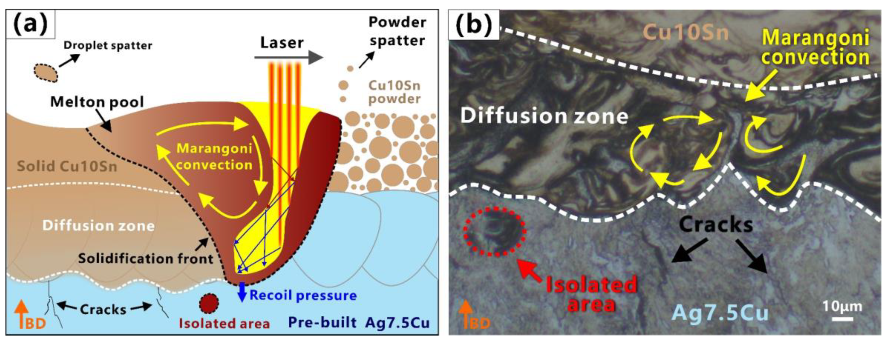 Micromachines 14 00362 g008 Micromachines 14 00362 g008