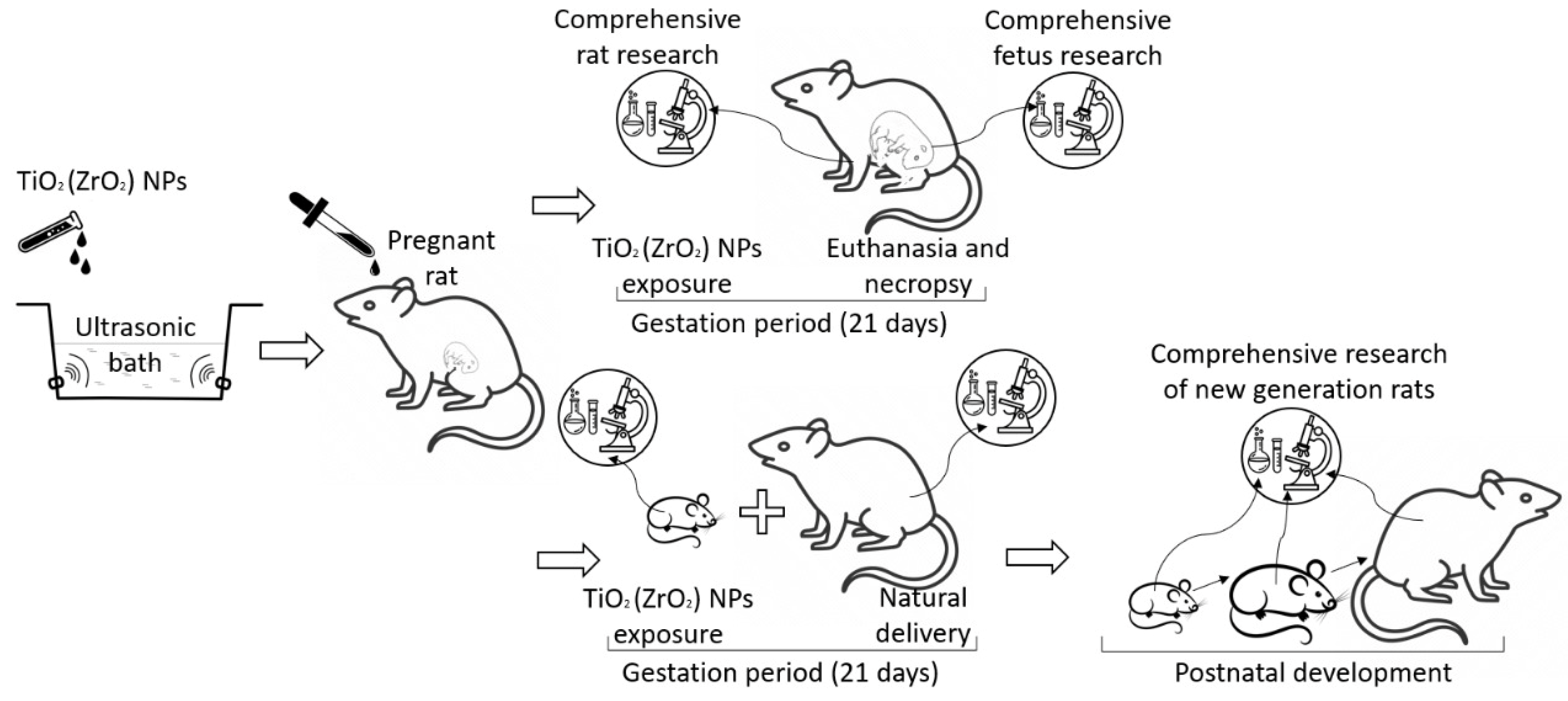 Micromachines 14 00363 g001 Micromachines 14 00363 g001