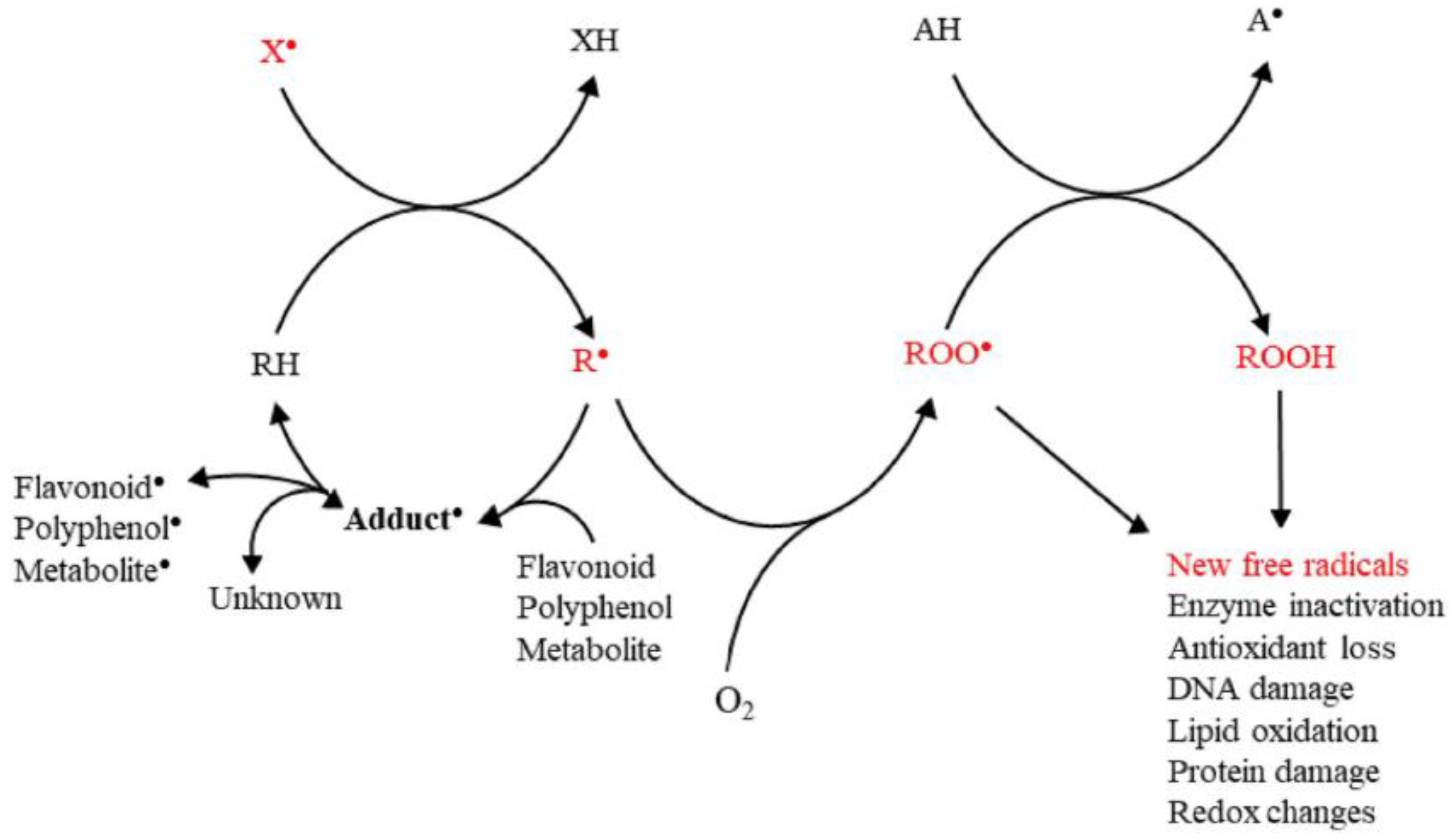 Micromachines 14 00383 g003 550