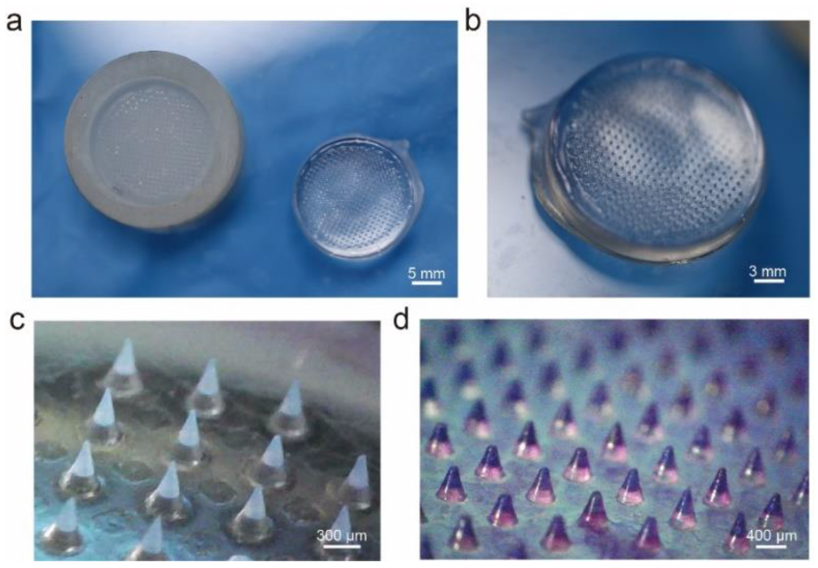 Micromachines 14 00388 g002 550