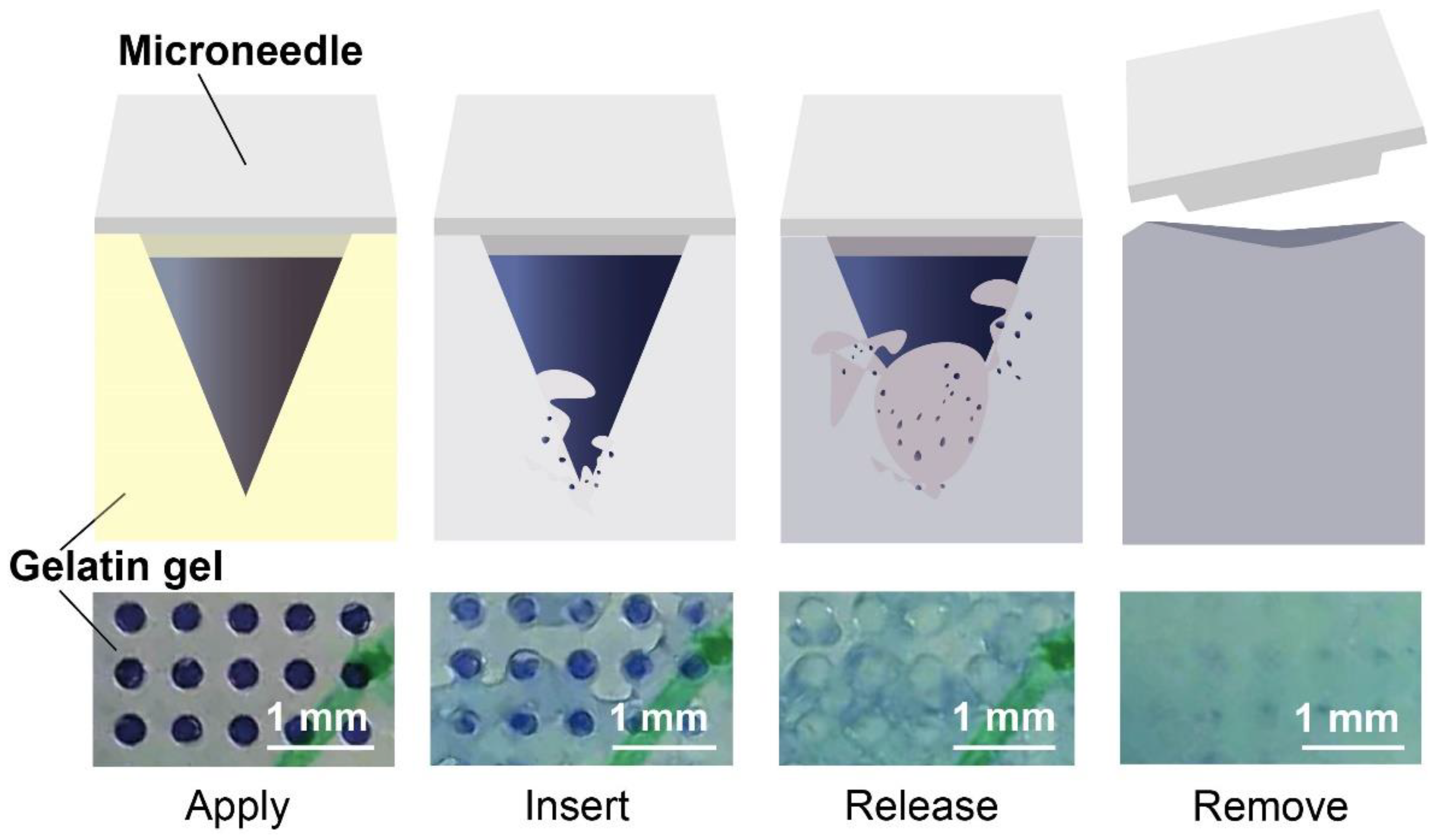 Micromachines 14 00388 g004 550
