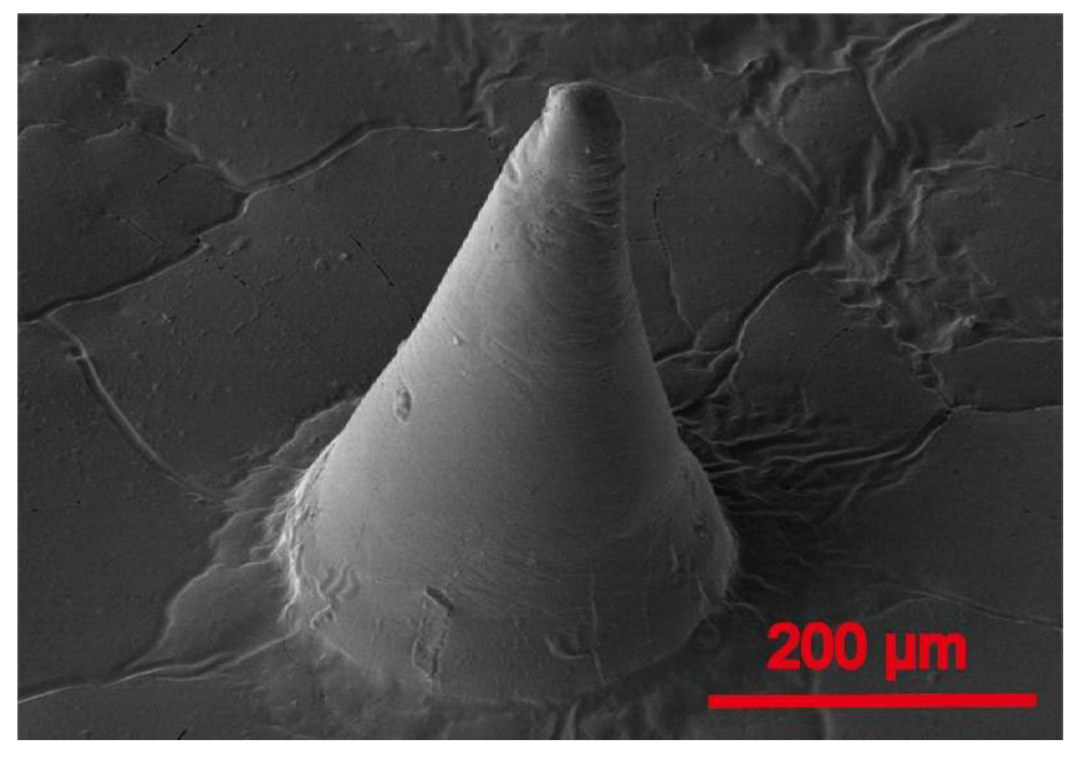 Micromachines 14 00388 g0a1 550