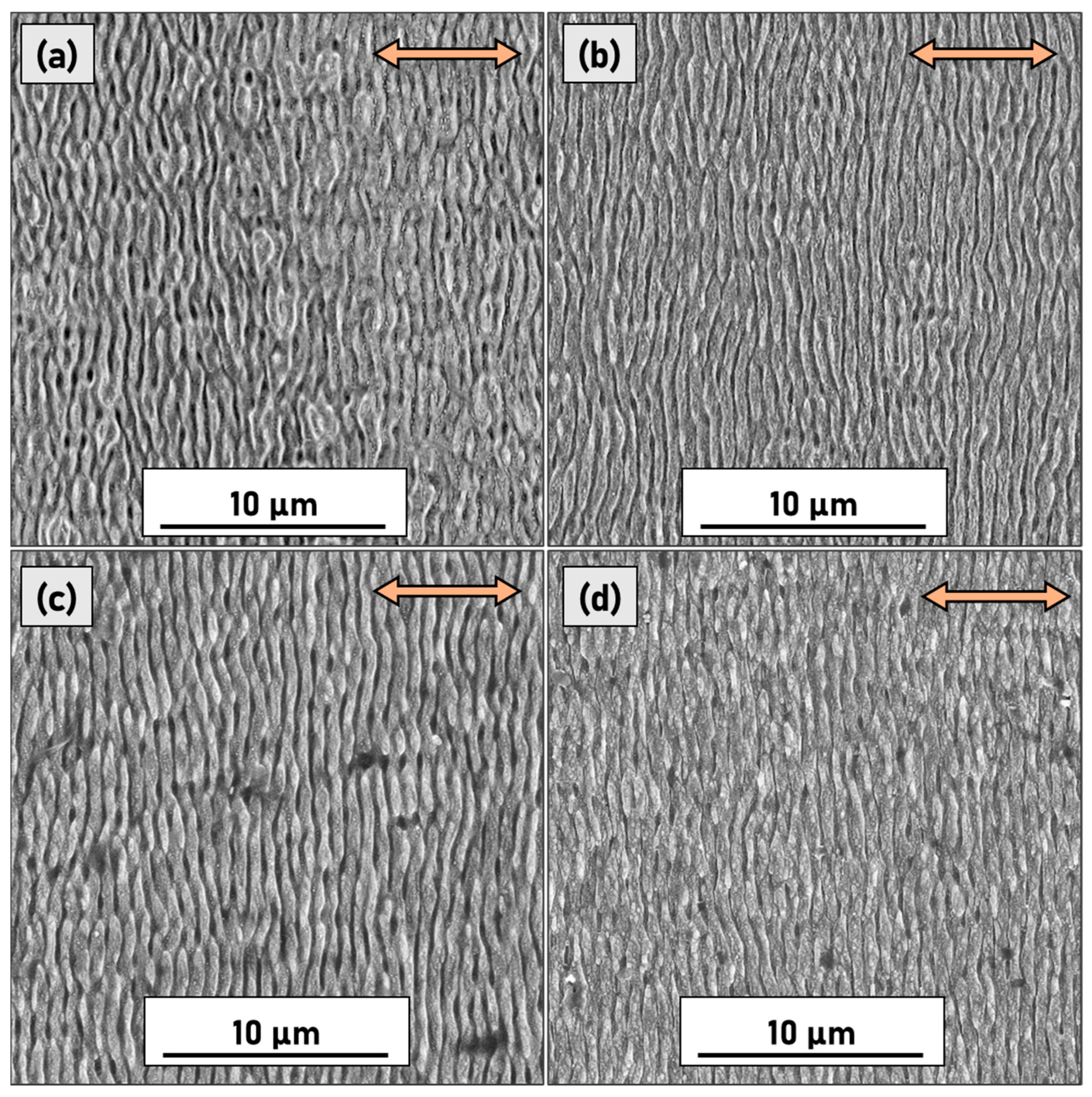 Micromachines 14 00389 g003 Micromachines 14 00389 g003