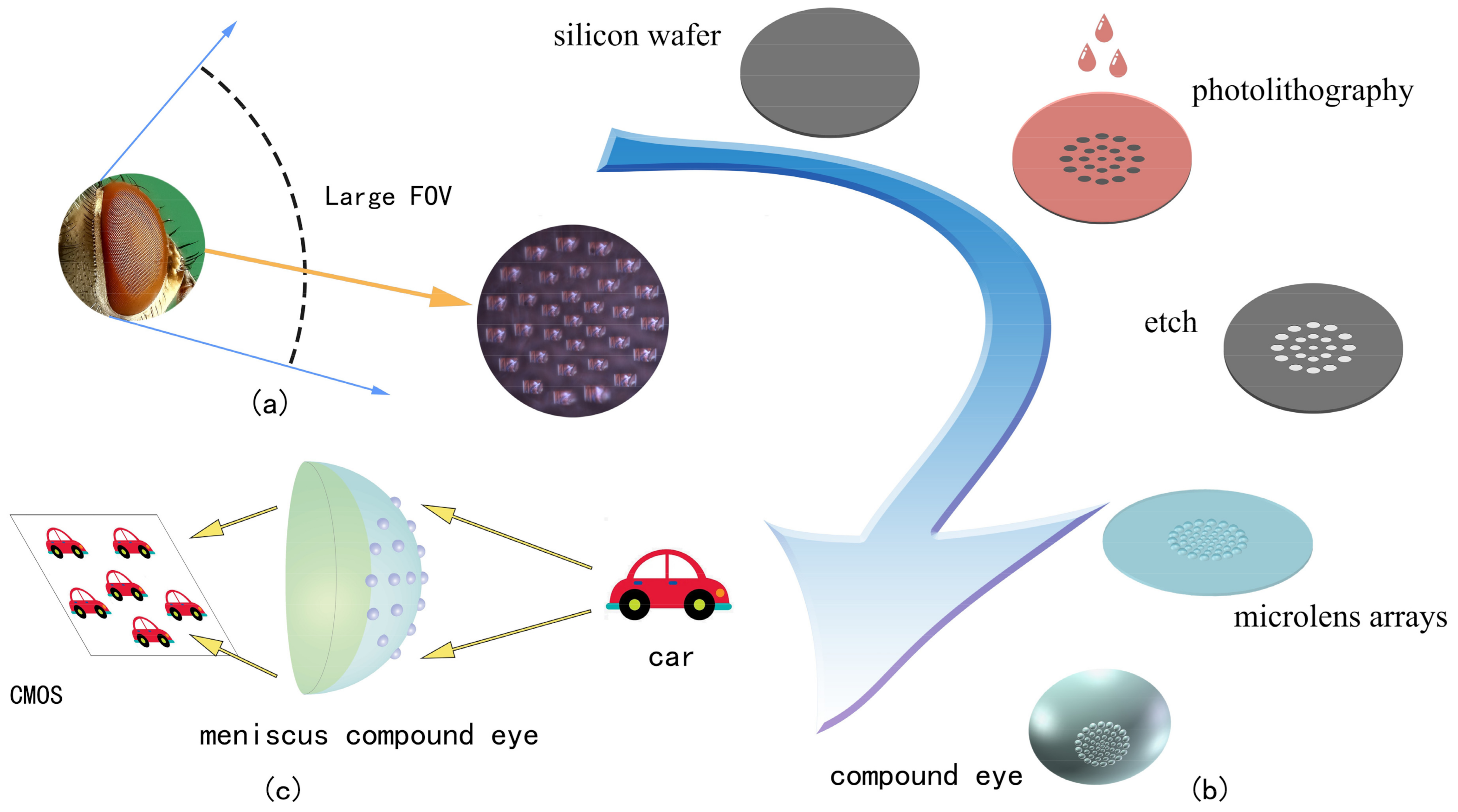 micro eye camera