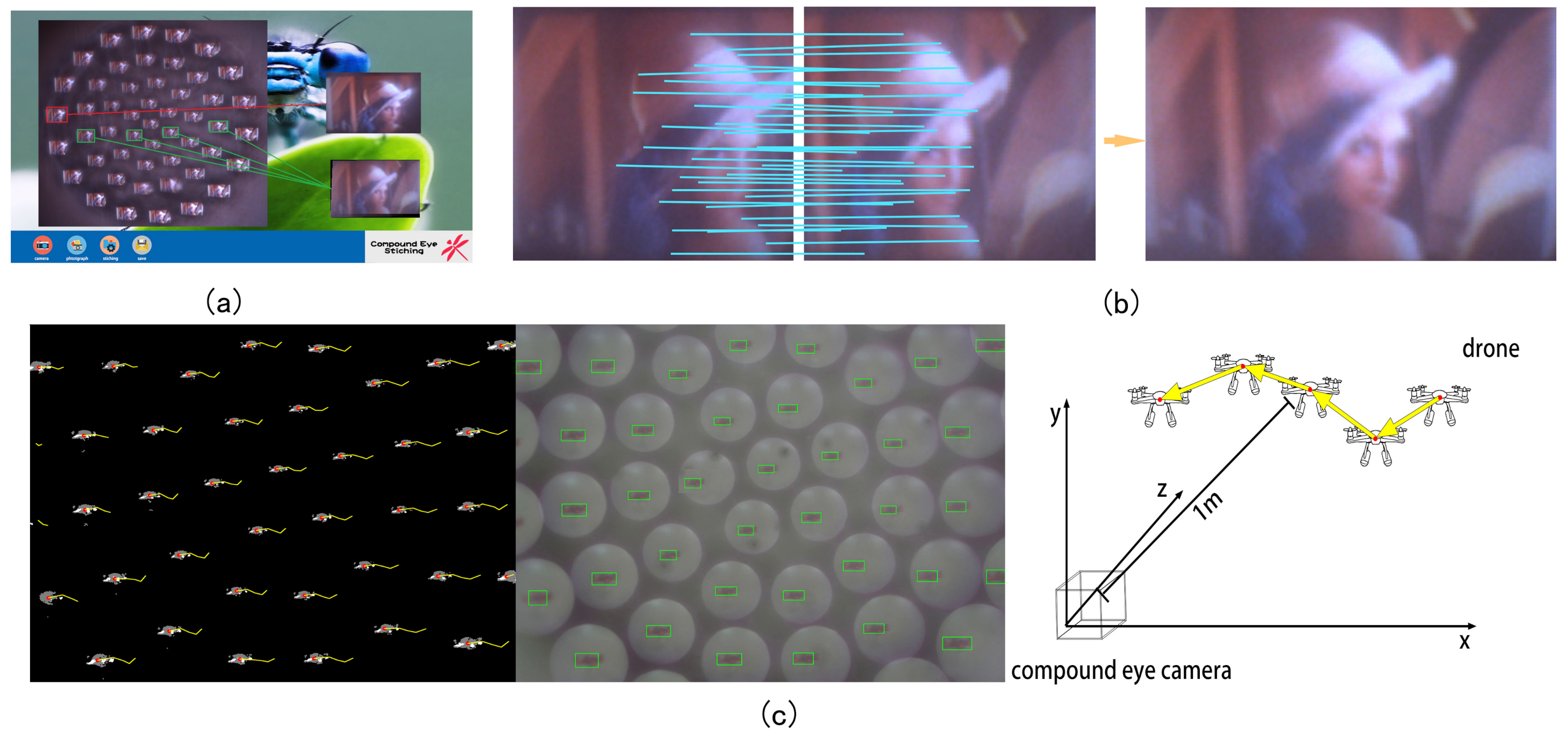 micro eye camera