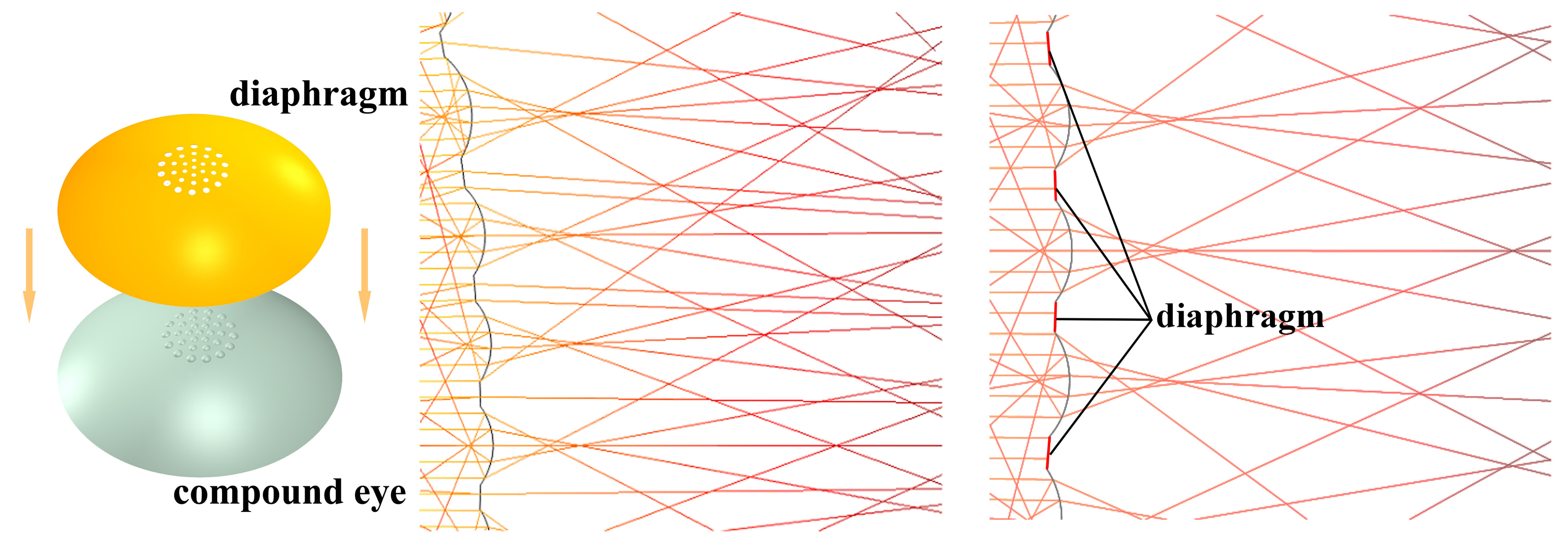 Micromachines 14 00420 g009