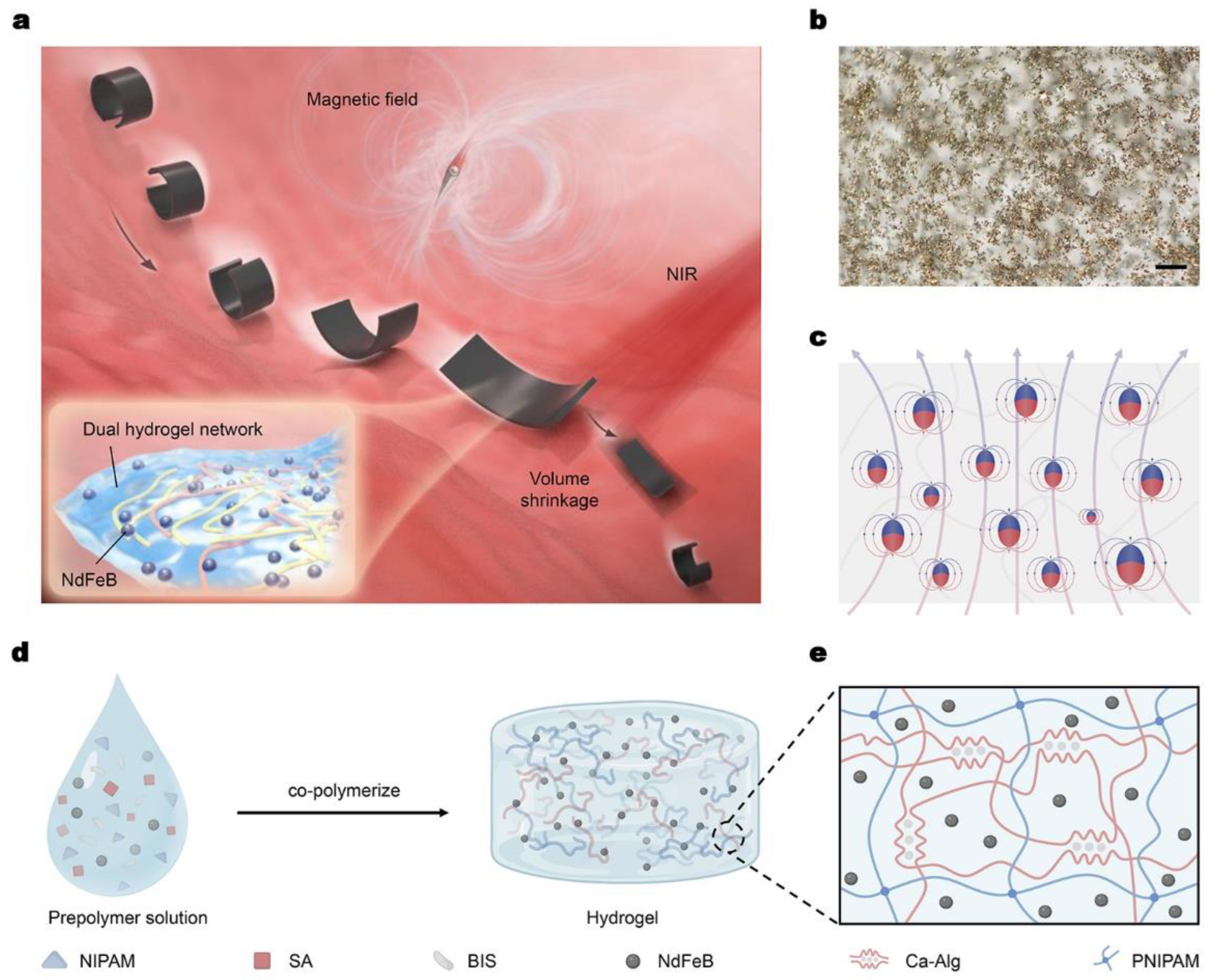 Micromachines 14 00422 g001 550