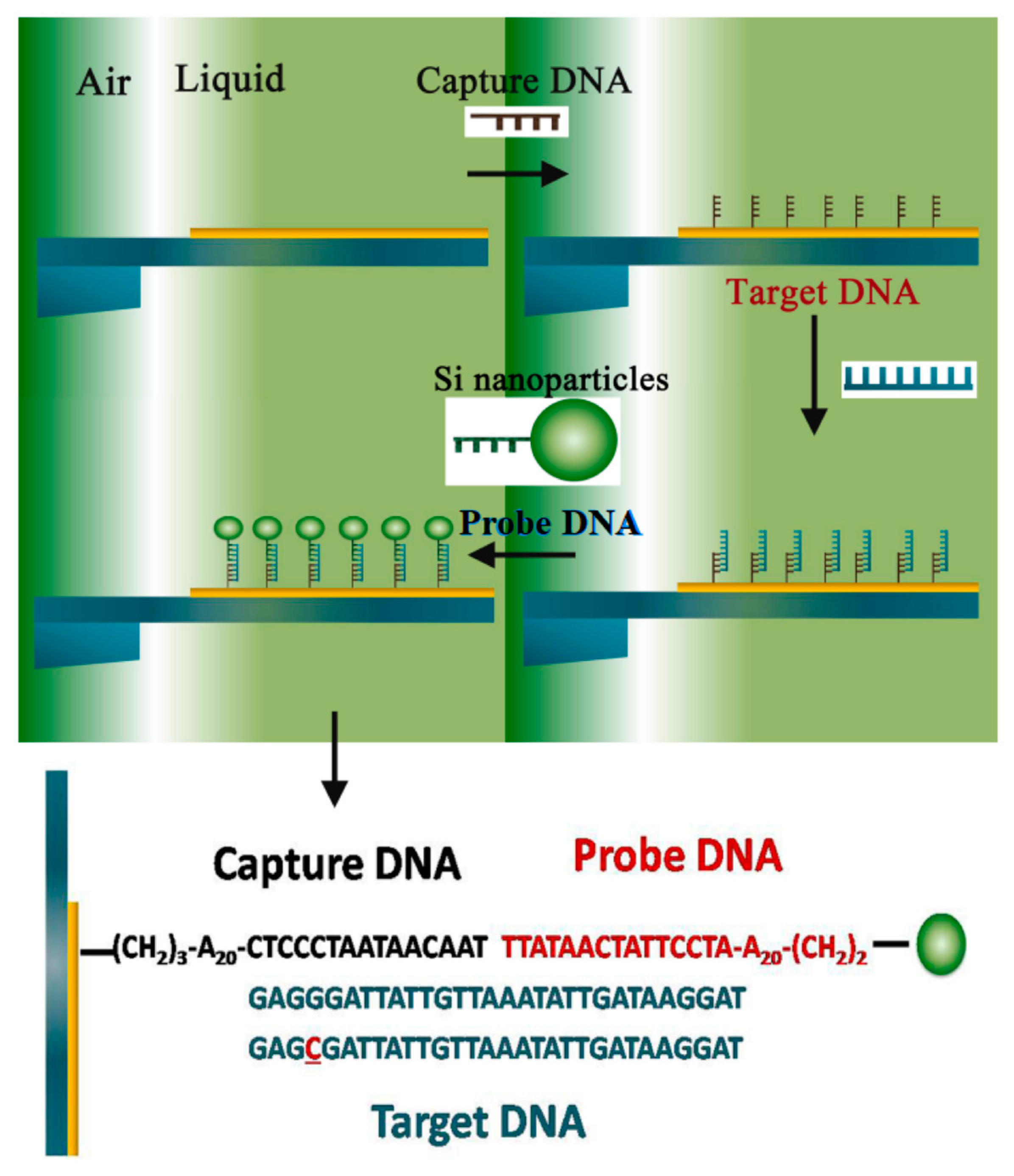 Micromachines 14 00427 g002