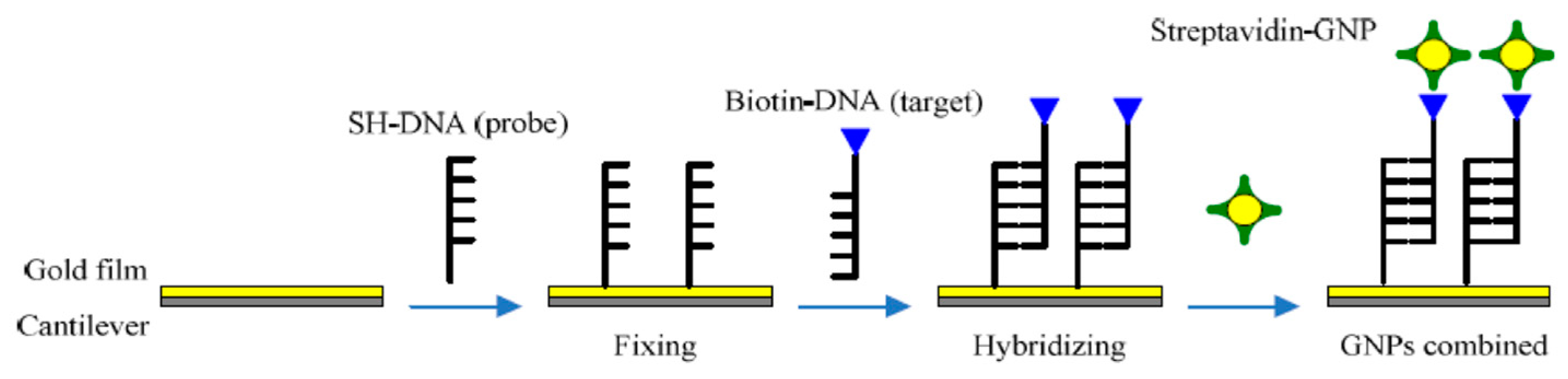 Micromachines 14 00427 g003