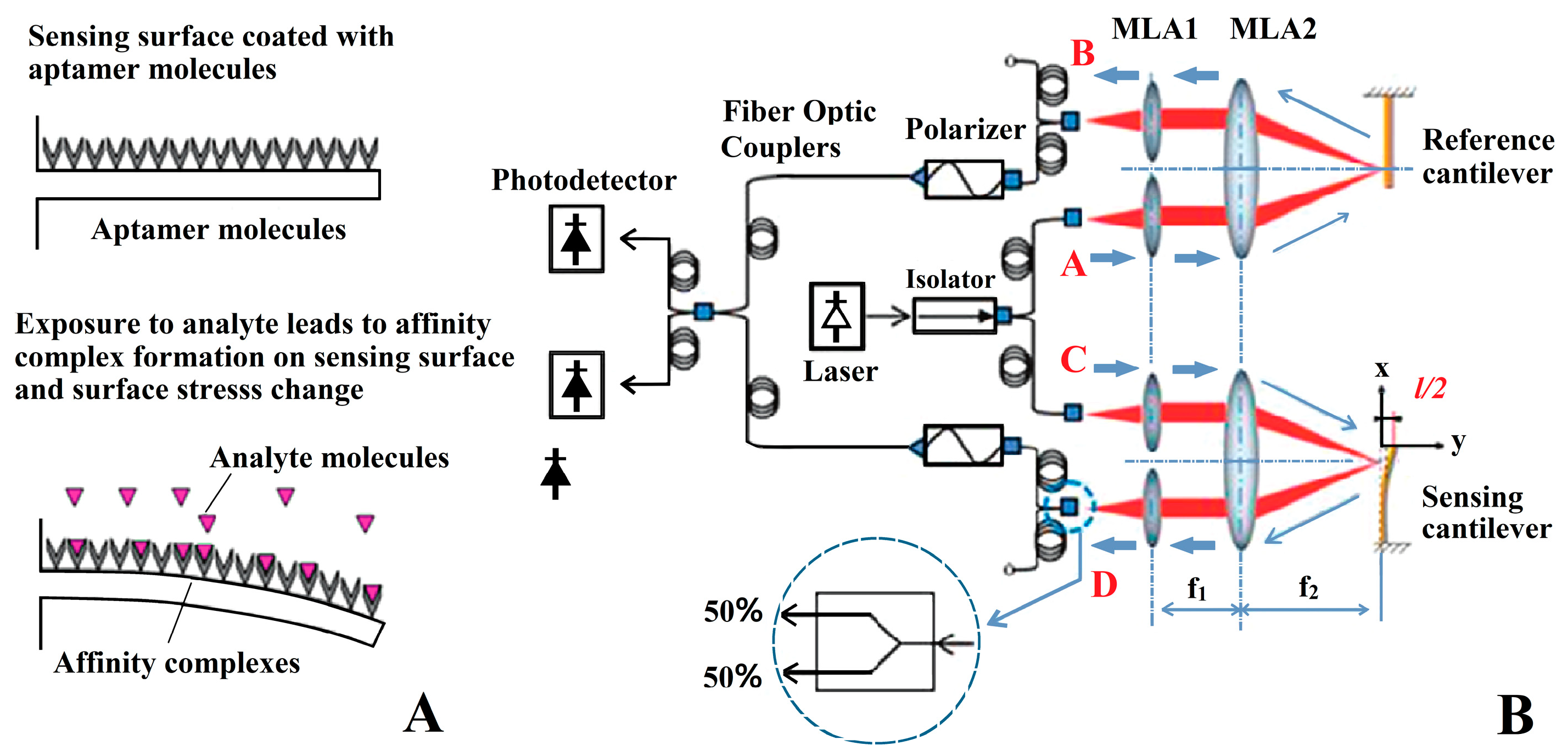 Micromachines 14 00427 g004