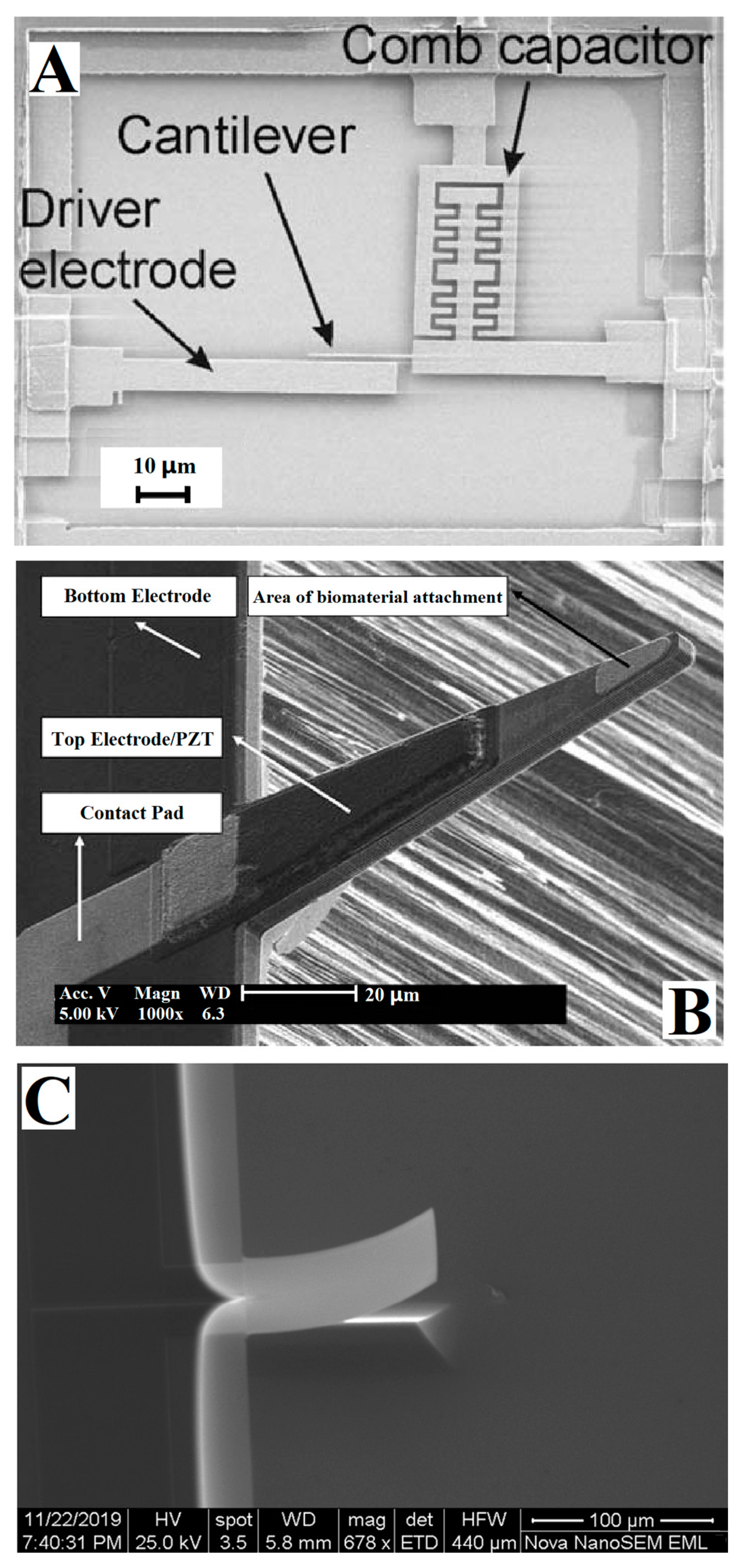 Micromachines 14 00427 g005