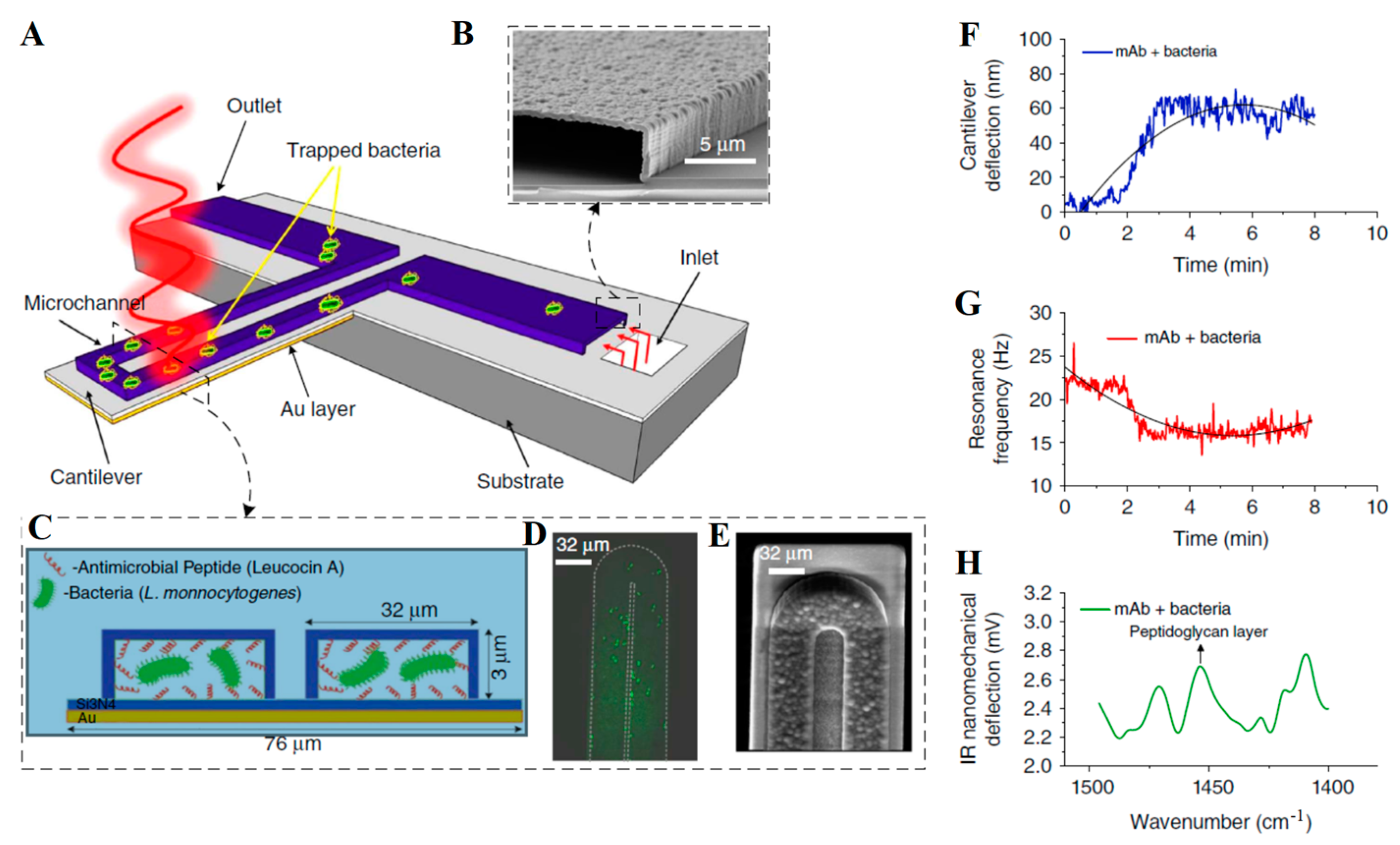 Micromachines 14 00427 g010