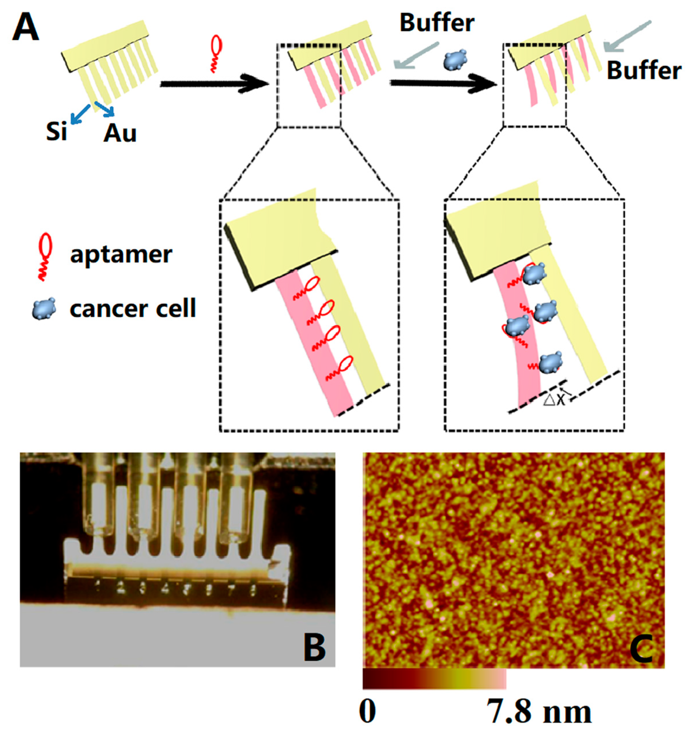 Micromachines 14 00427 g011
