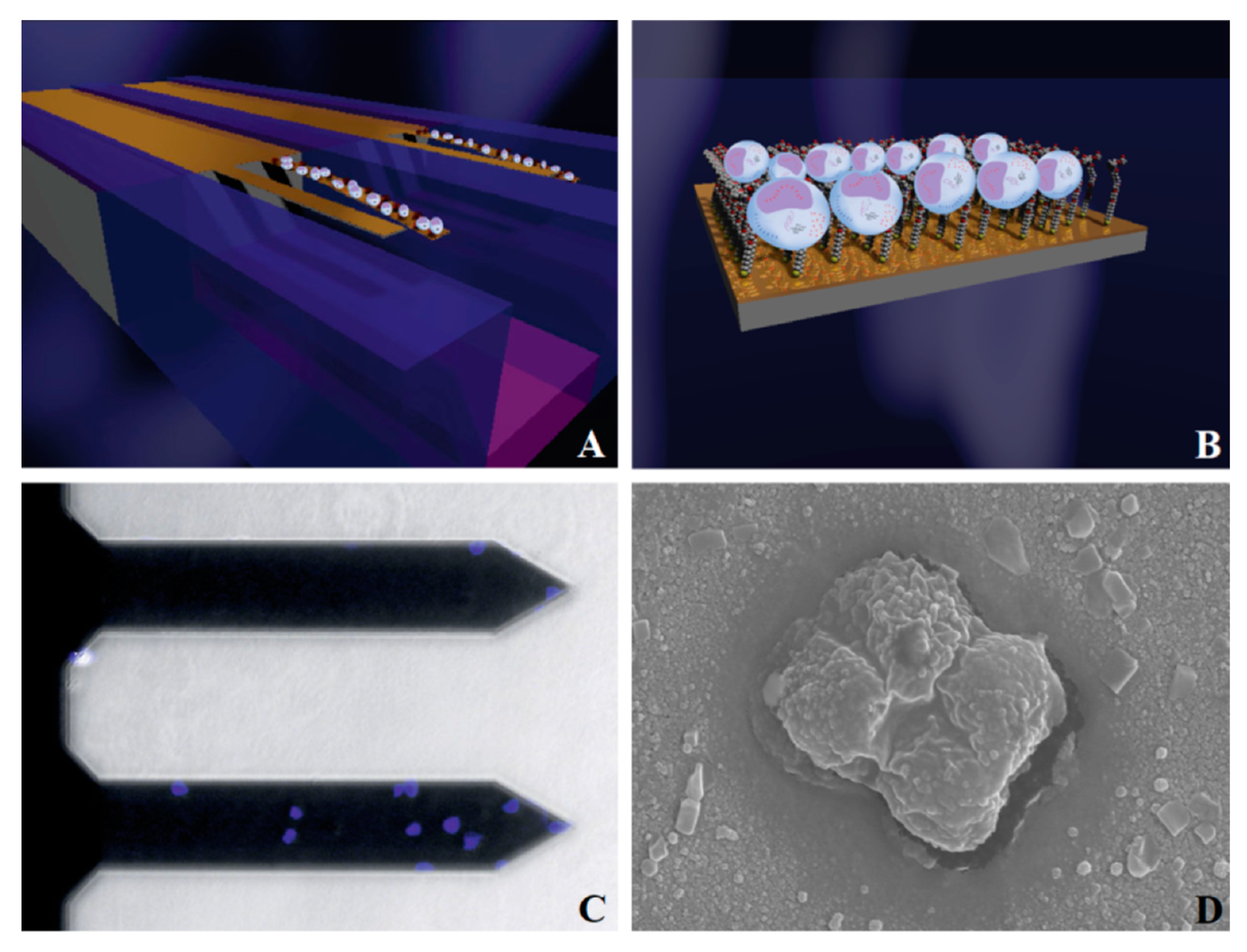 Micromachines 14 00427 g012
