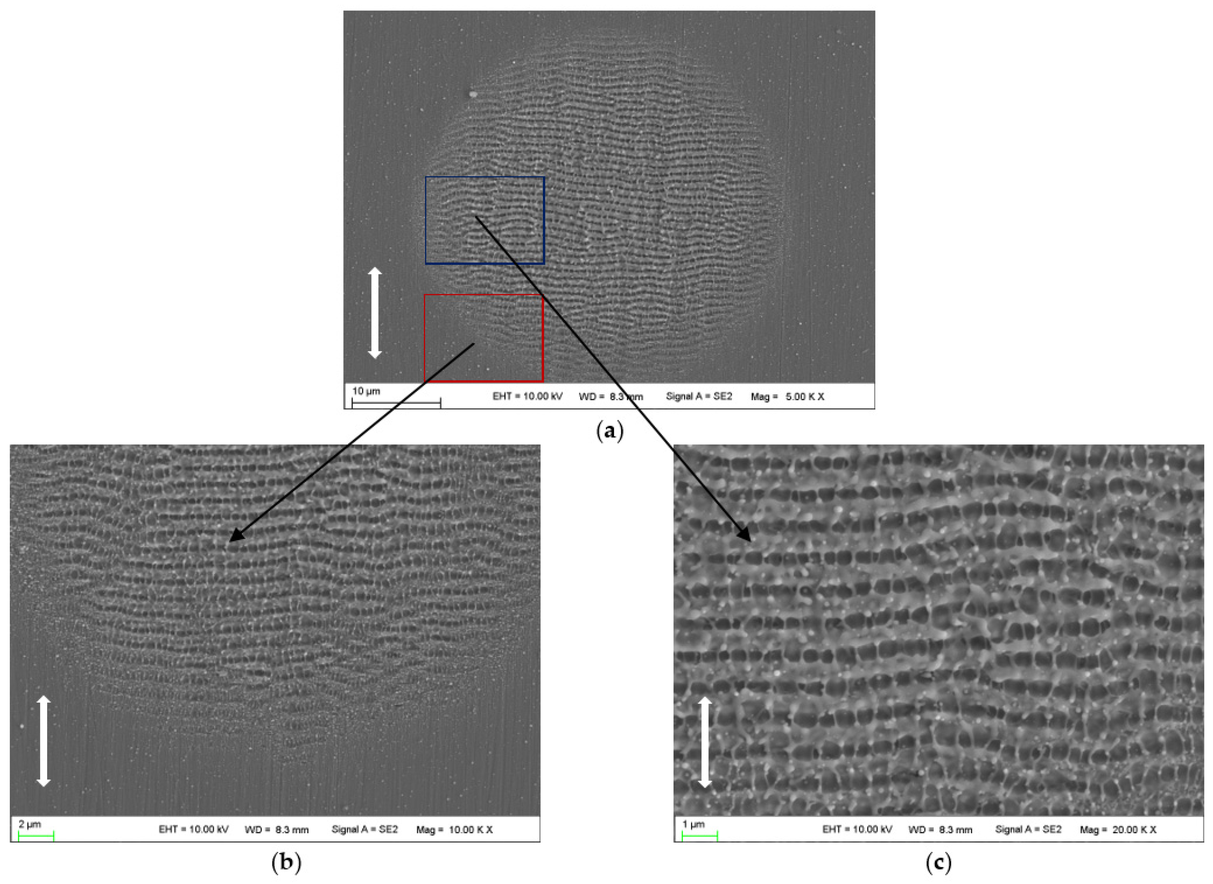 Micromachines 14 00428 g003