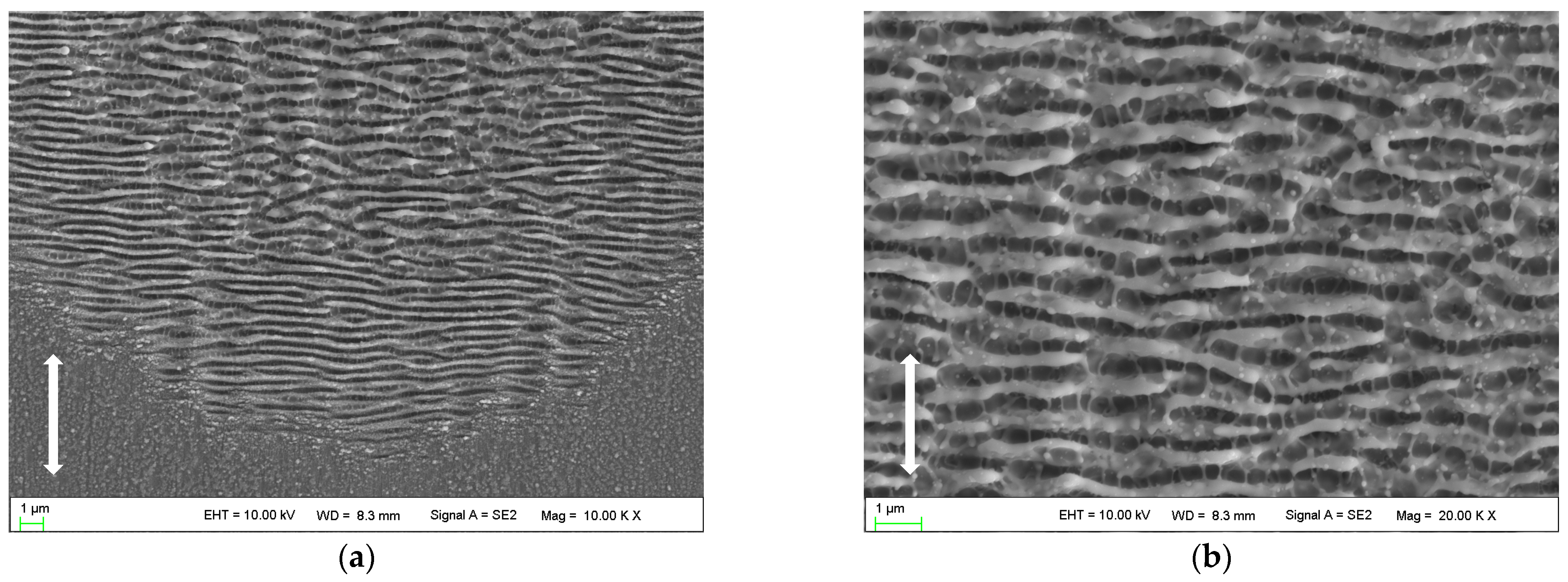 Micromachines 14 00428 g004